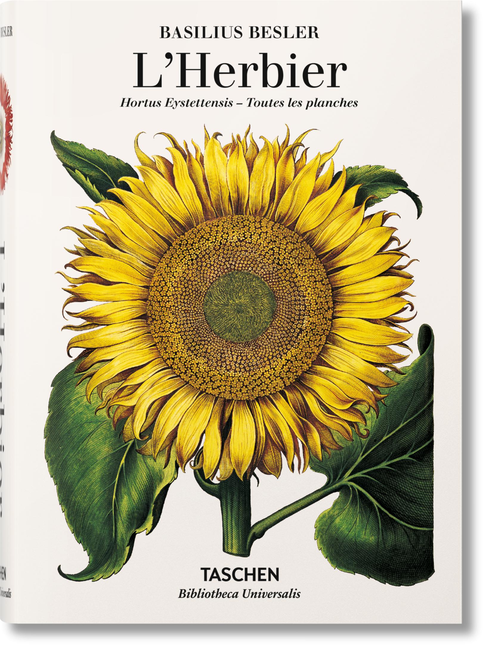 Taschen-Basilius Besler. L'Herbier. Hortus Eystettensis (French)-Classics-Black-Deal-Outlet-by-ARCHIVIST