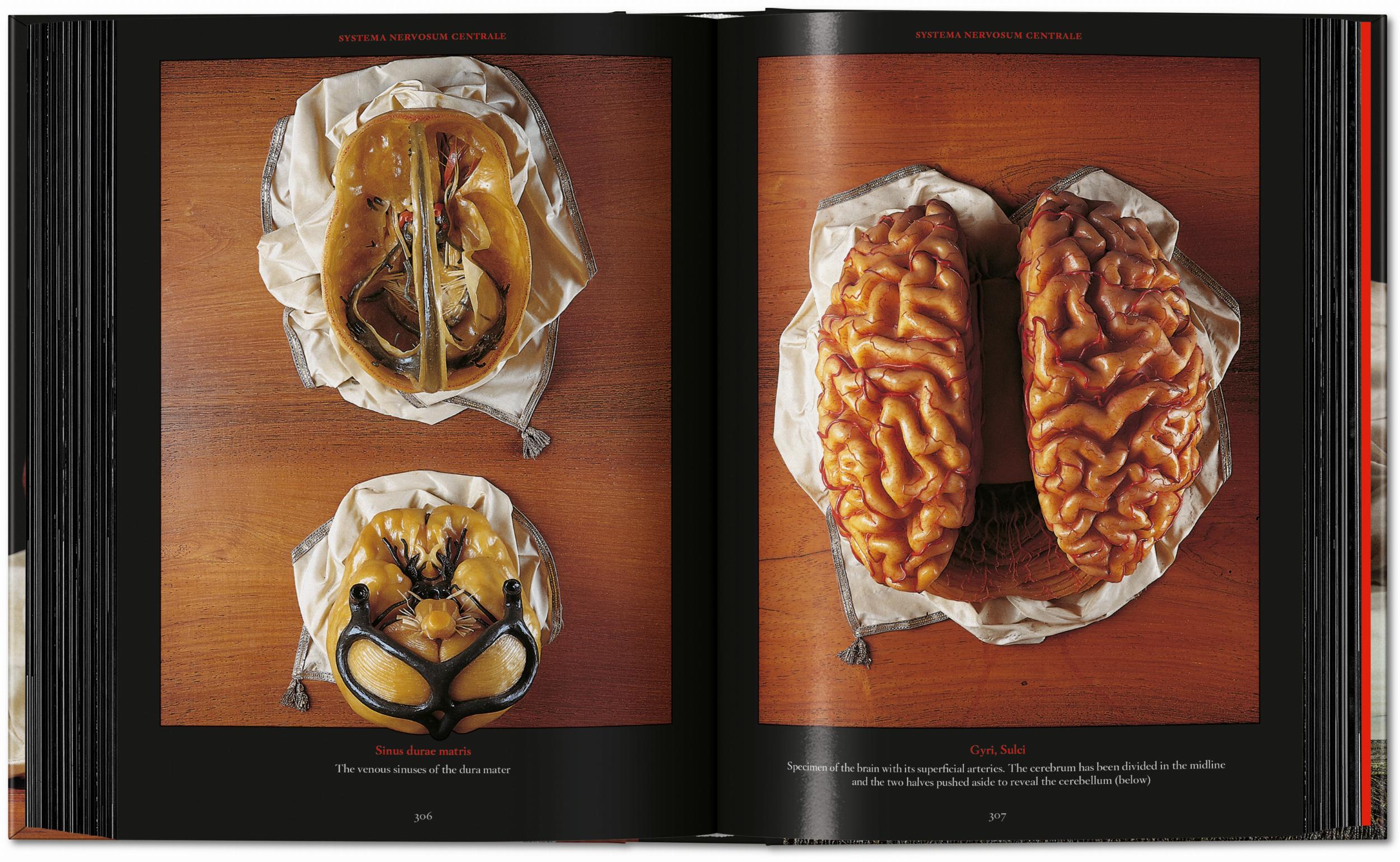 Taschen-Anatomical Waxes. 45th Ed. (German, French, English)-Classics-Black-Deal-Outlet-by-ARCHIVIST