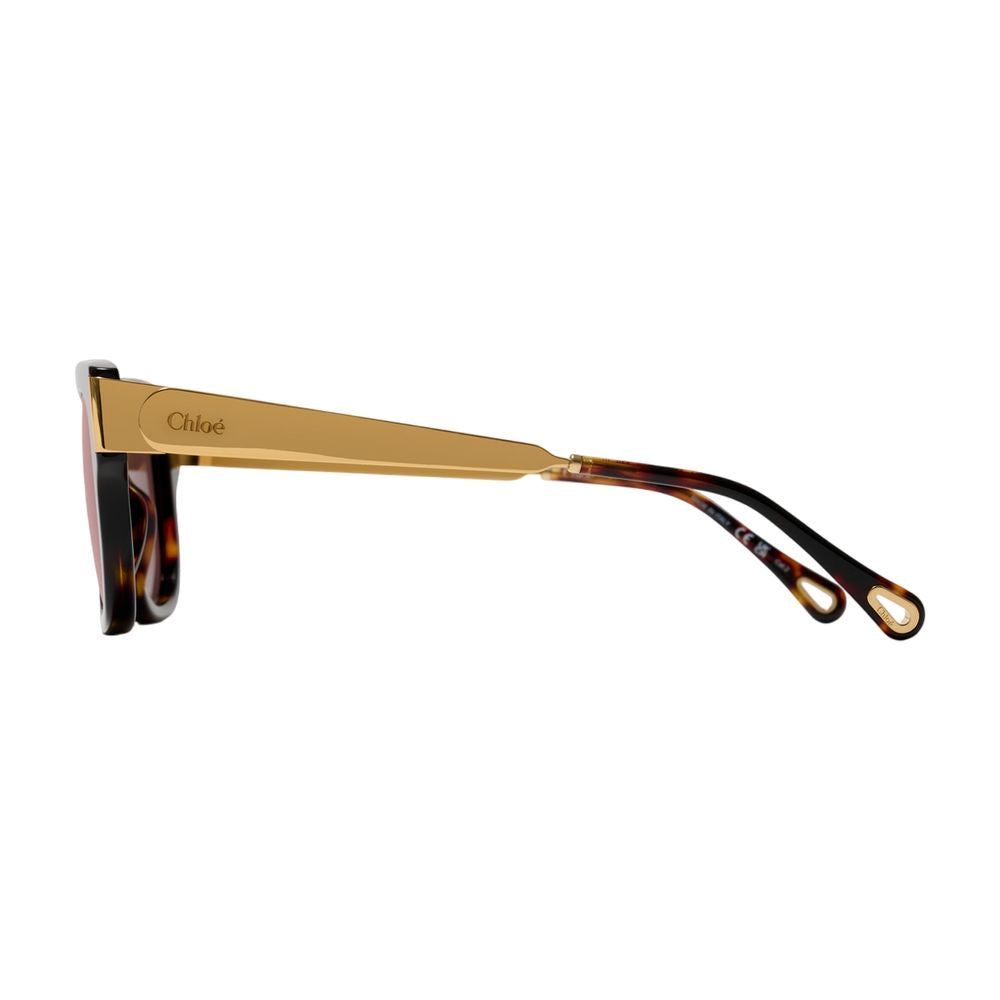 Sonnenbrille Ch0351s - Chloé - Acetat - Braun