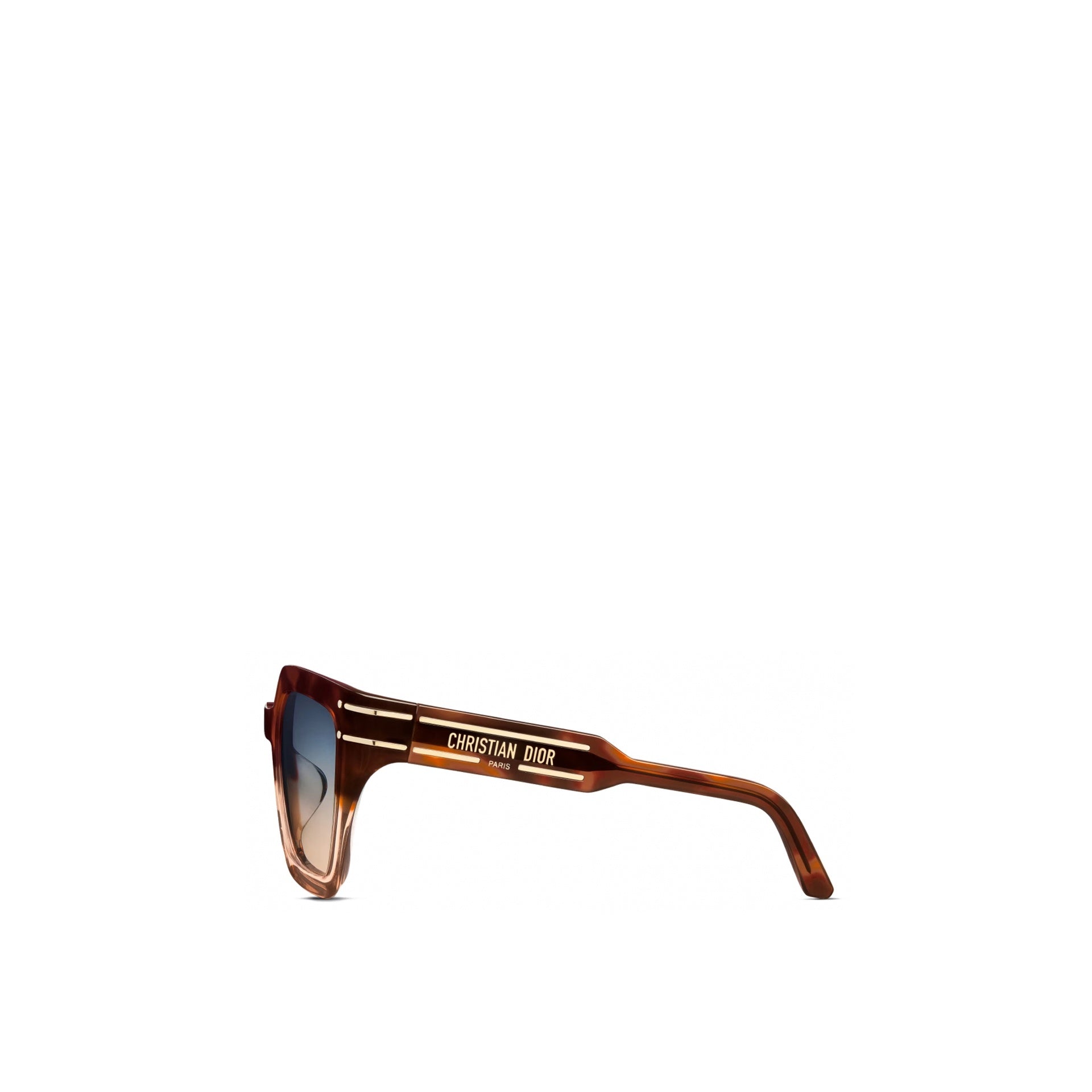 Dior DiorSignature S10F Sunglasses