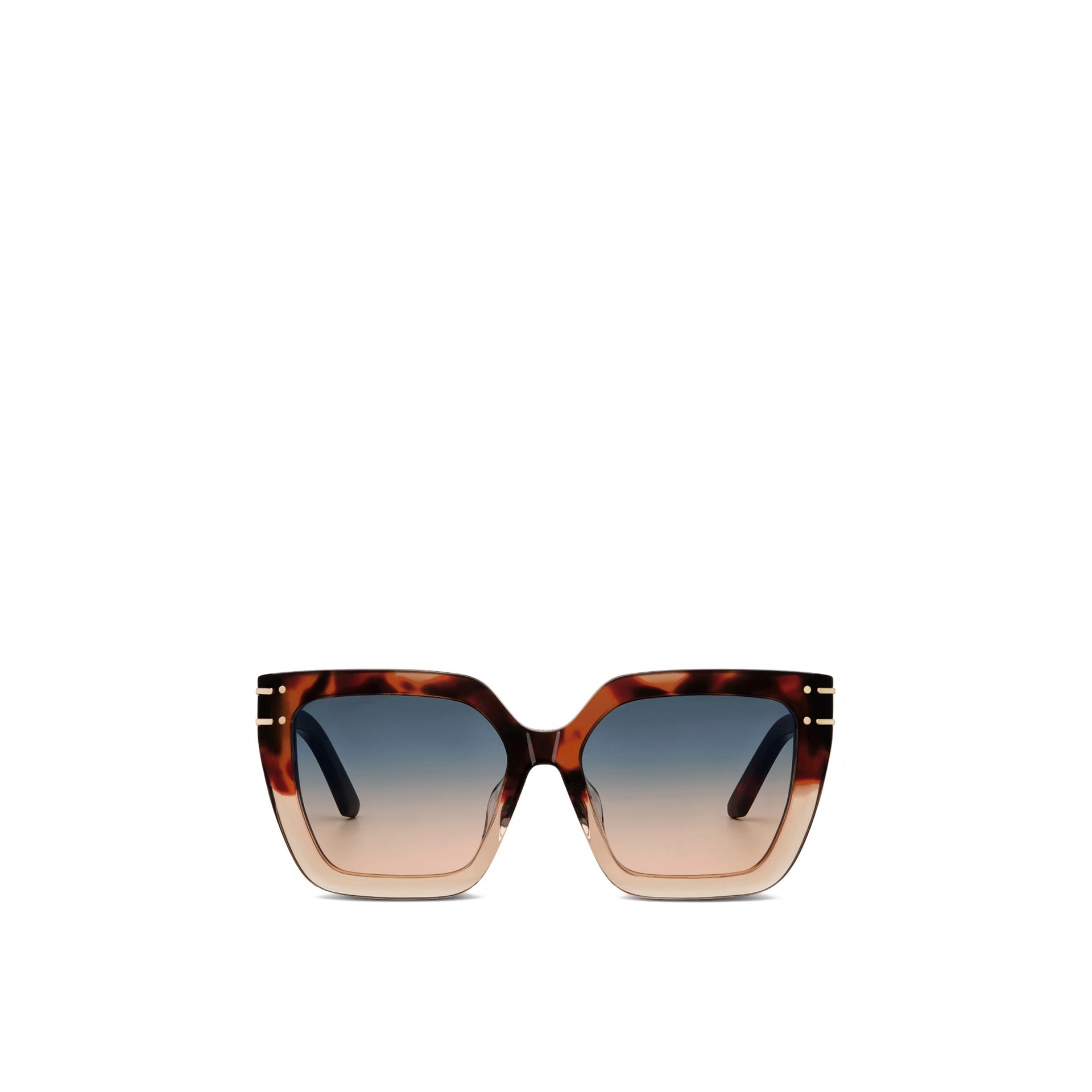 Dior DiorSignature S10F Sunglasses