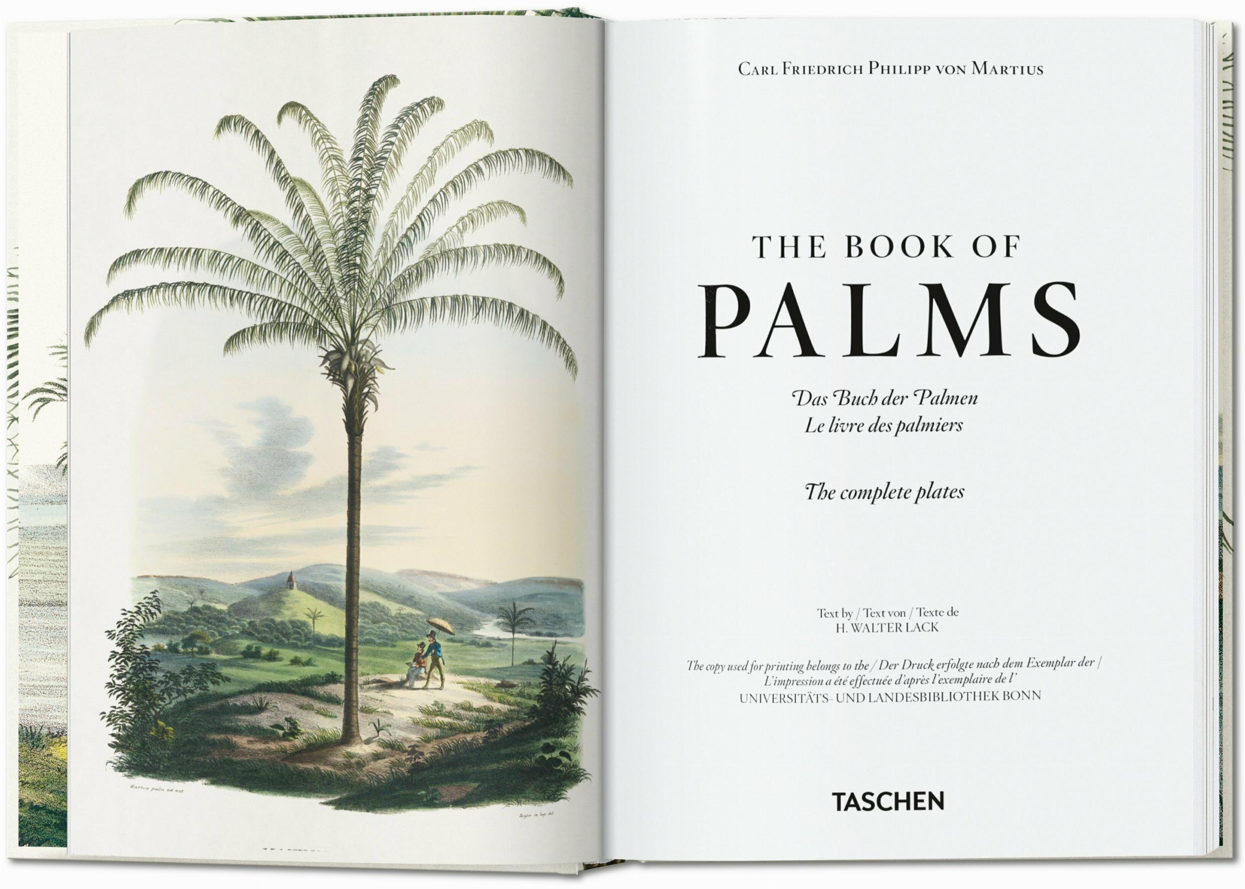 Taschen-Martius. The Book of Palms. 45th Ed. (German, French, English)-Classics-Black-Deal-Outlet-by-ARCHIVIST