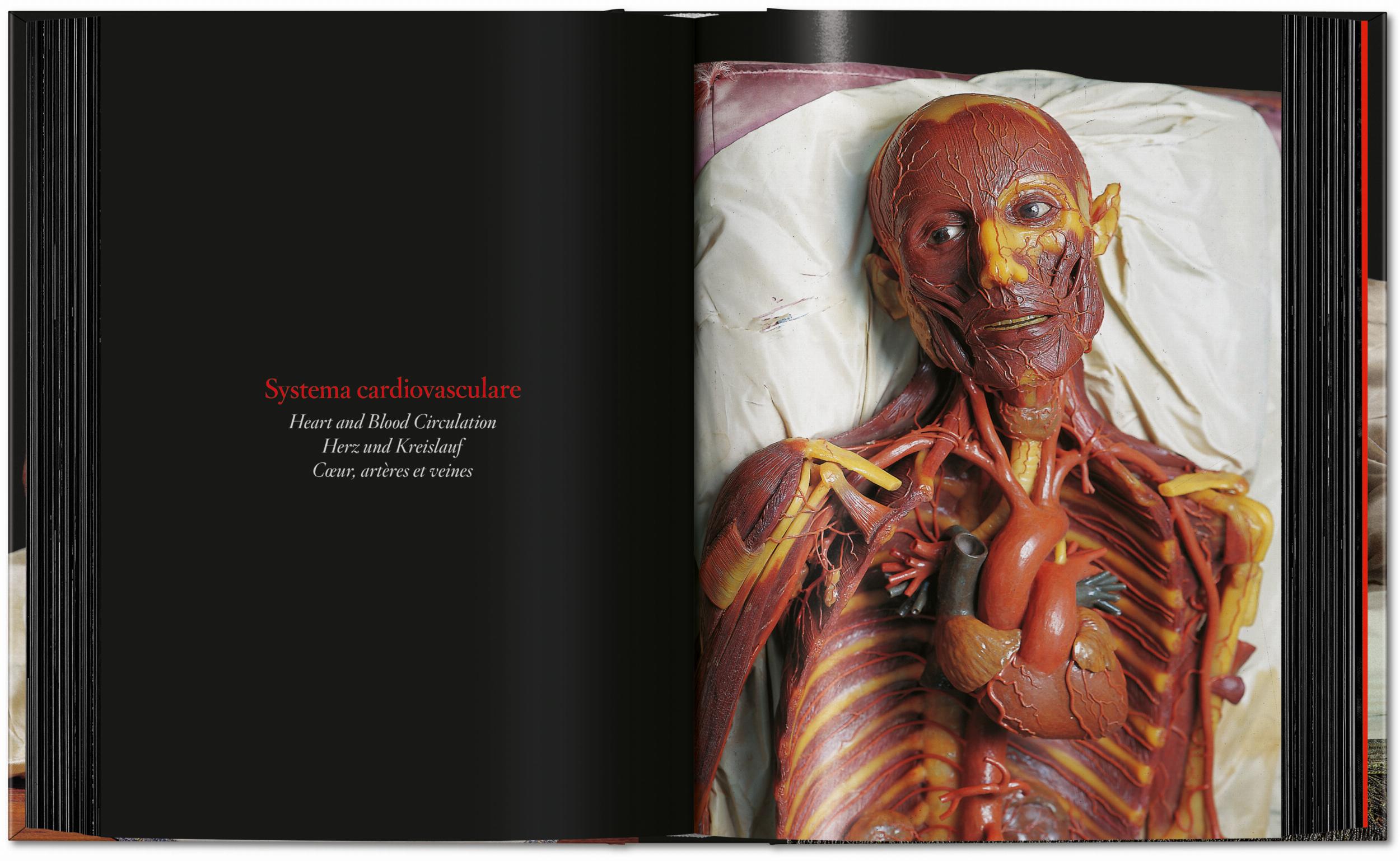 Taschen-Anatomical Waxes. 45th Ed. (German, French, English)-Classics-Black-Deal-Outlet-by-ARCHIVIST