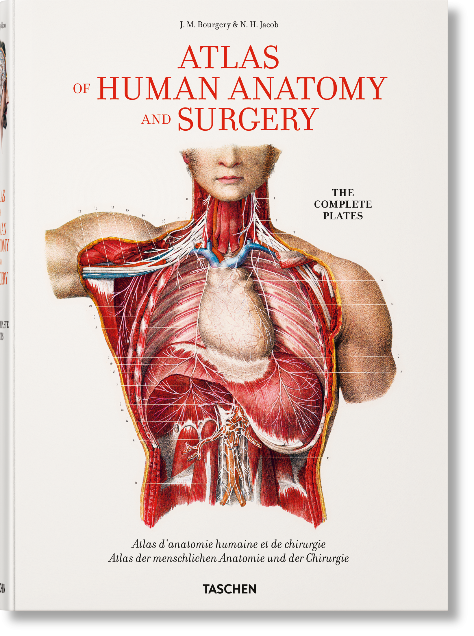 Taschen-Bourgery. Atlas of Human Anatomy and Surgery (German, French, English)-Classics-Black-Deal-Outlet-by-ARCHIVIST