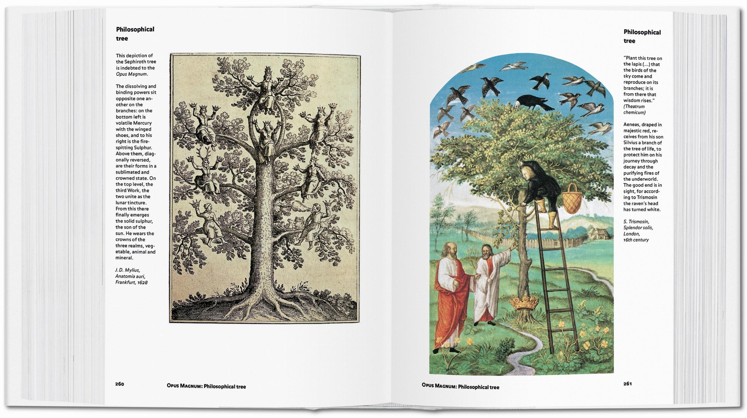 Taschen-Alquimia & Misticismo (Portuguese)-Art-Black-Deal-Outlet-by-ARCHIVIST