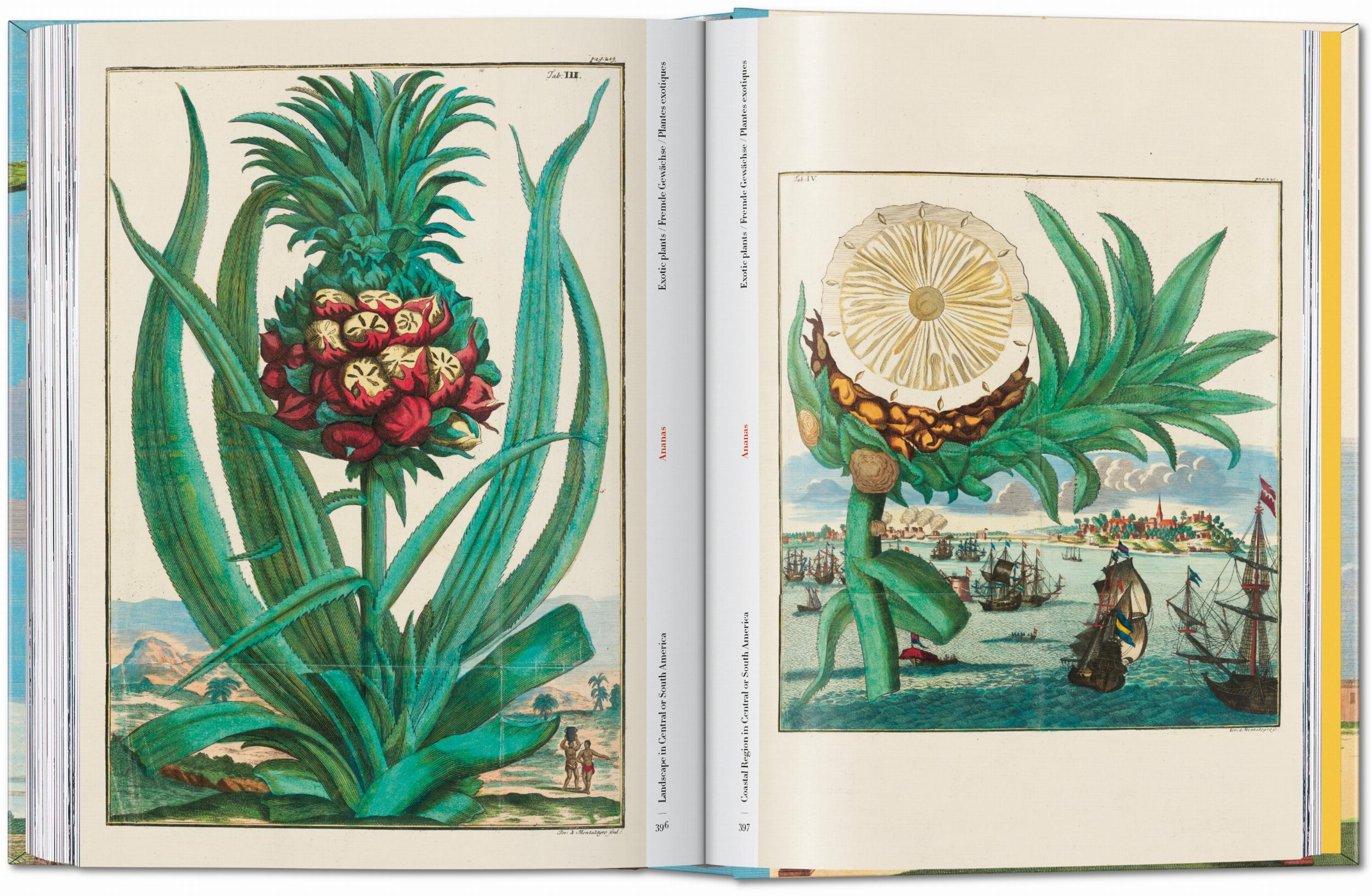 Taschen-J. C. Volkamer. The Book of Citrus Fruits. 45th Ed. (German, French, English)-Classics-Black-Deal-Outlet-by-ARCHIVIST