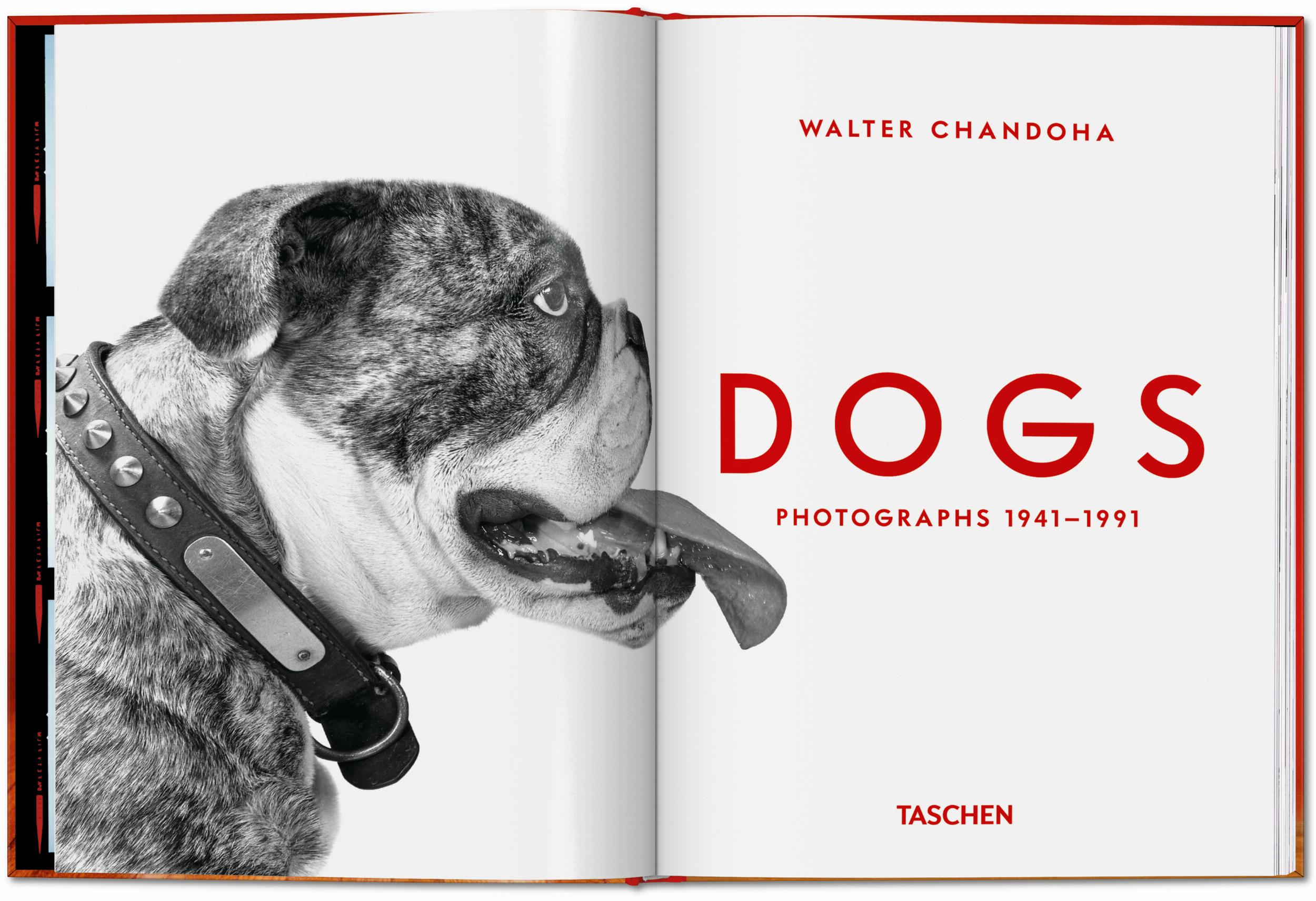 Taschen-Walter Chandoha. Dogs. Photographs 1941–1991 (English)-Photography-Black-Deal-Outlet-by-ARCHIVIST