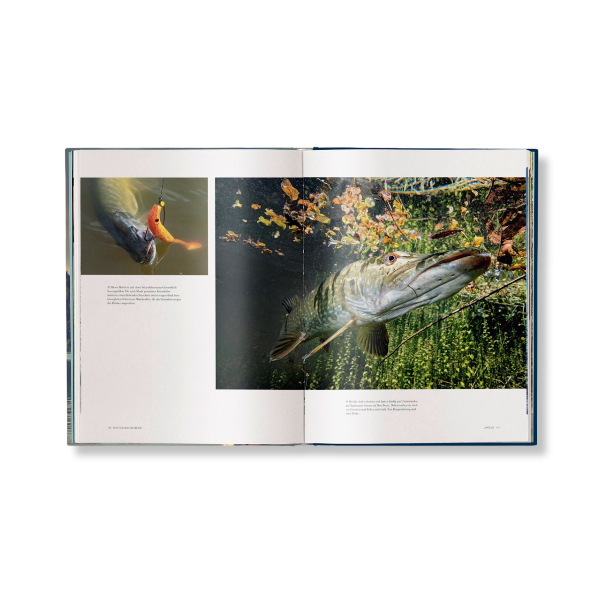 Gestalten Eu Shop-Angeln-Book-Black-Deal-Outlet-by-ARCHIVIST