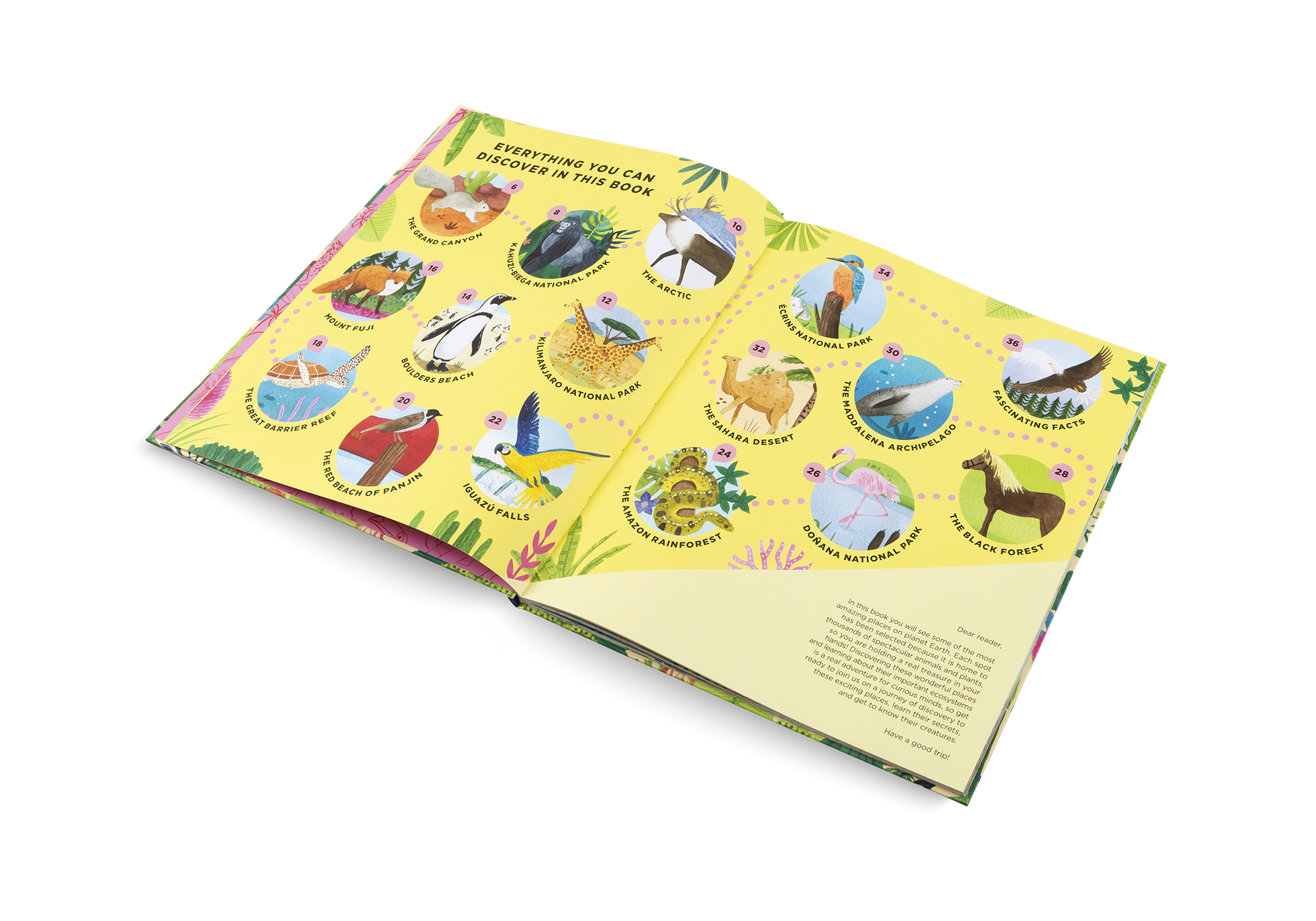 Gestalten Eu Shop-Animals Everywhere-Book-Black-Deal-Outlet-by-ARCHIVIST