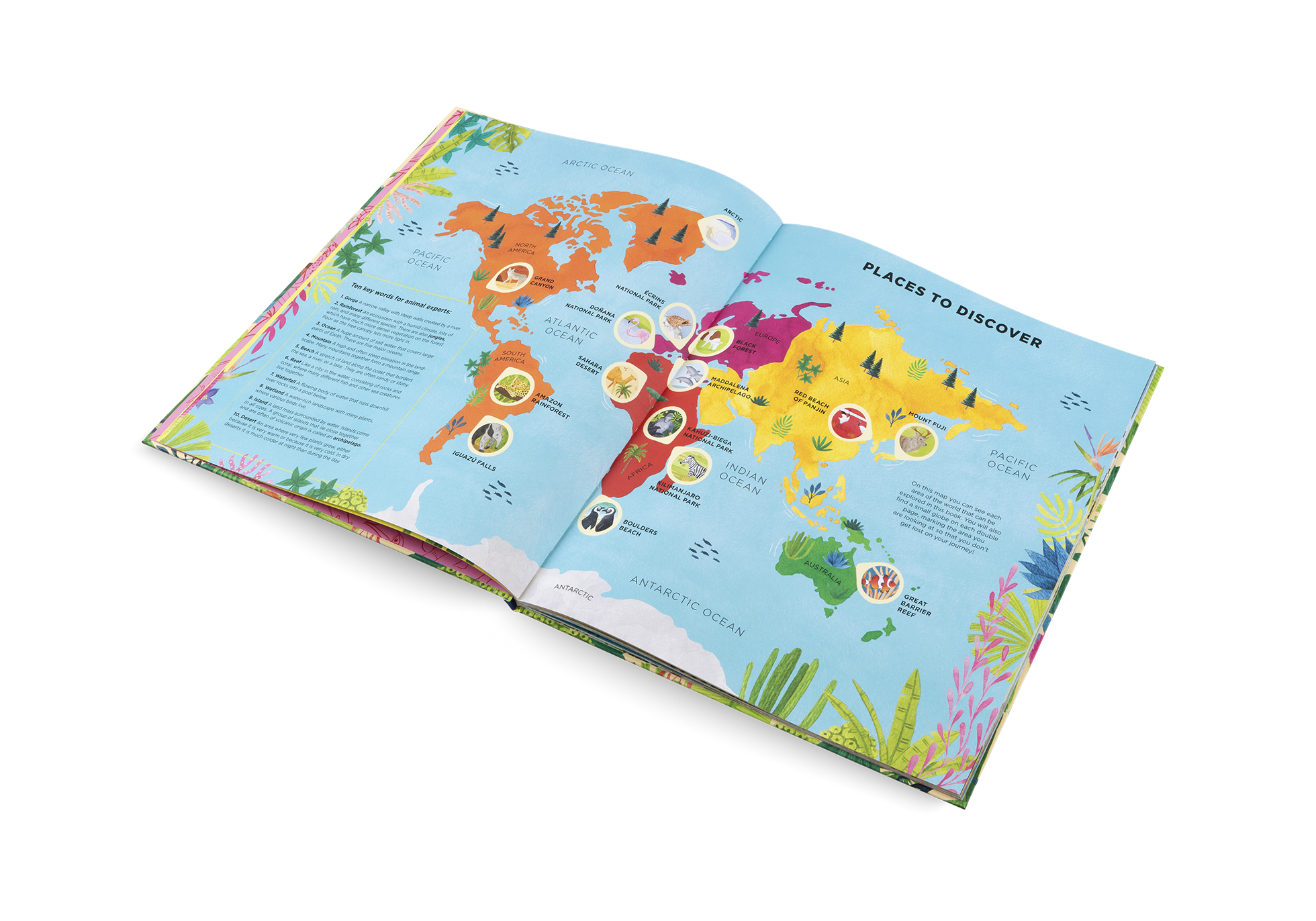 Gestalten Eu Shop-Animals Everywhere-Book-Black-Deal-Outlet-by-ARCHIVIST