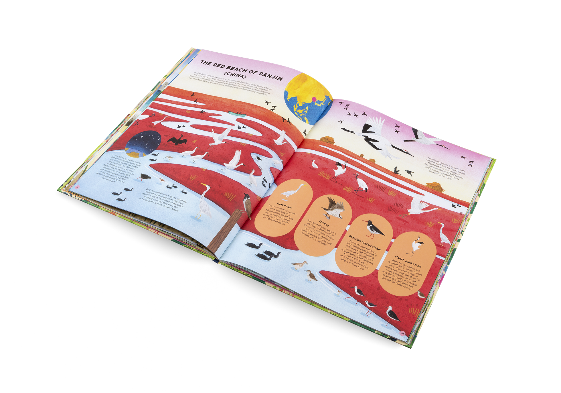 Gestalten Eu Shop-Animals Everywhere-Book-Black-Deal-Outlet-by-ARCHIVIST