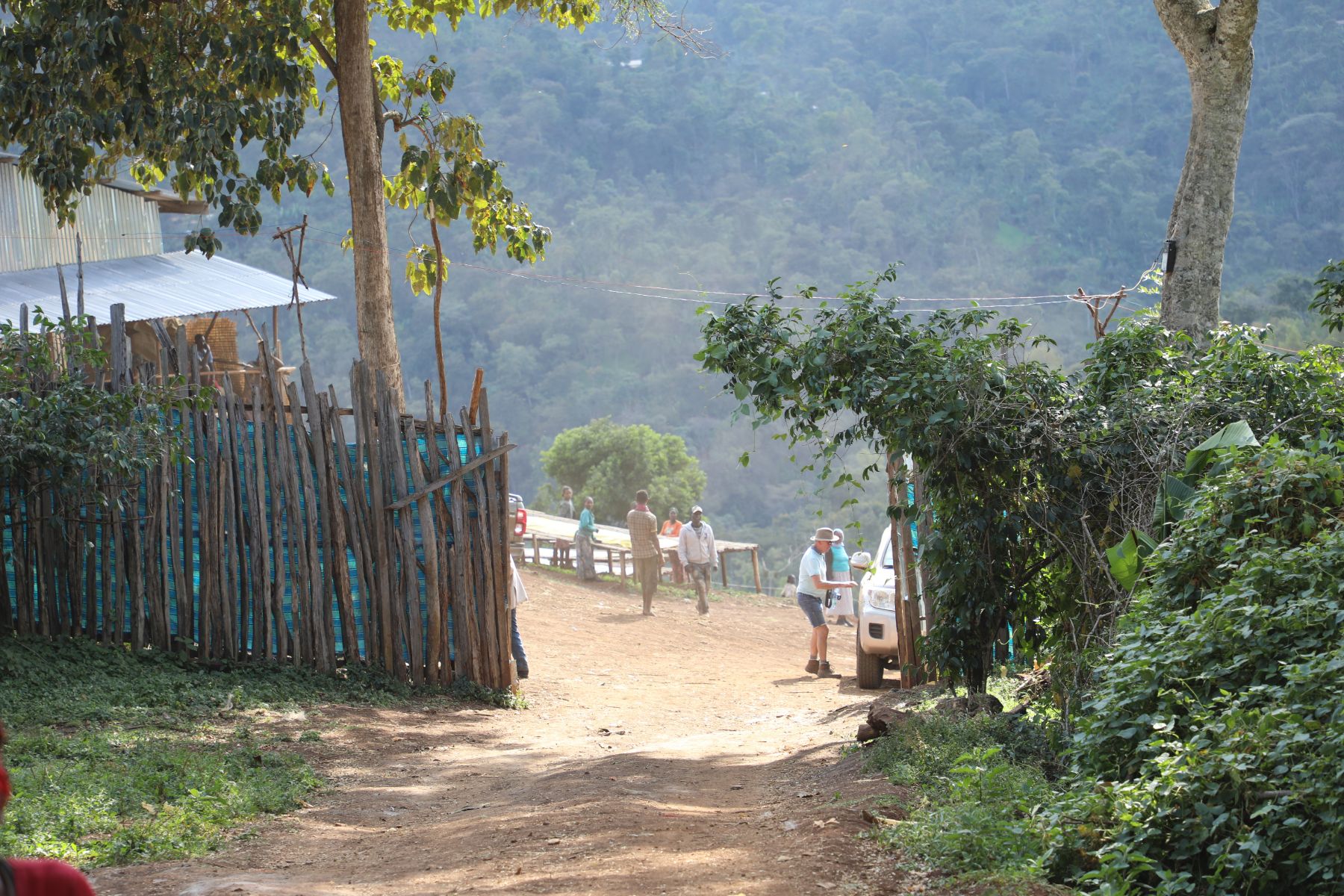 Paso Paso - Farmer Owned Coffee-Filter Coffee - Syoum Family - Heirloom Washed-Black-Deal-Outlet-by-ARCHIVIST