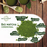 Verdancia-Bio Matcha Ceremonial 30g Dose-Matcha-Black-Deal-Outlet-by-ARCHIVIST