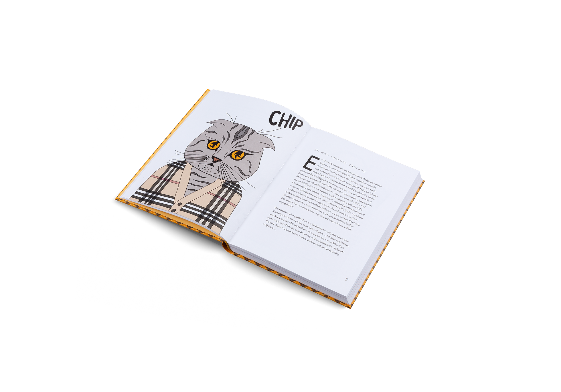 Gestalten Eu Shop-Blue Chip-Book-Black-Deal-Outlet-by-ARCHIVIST