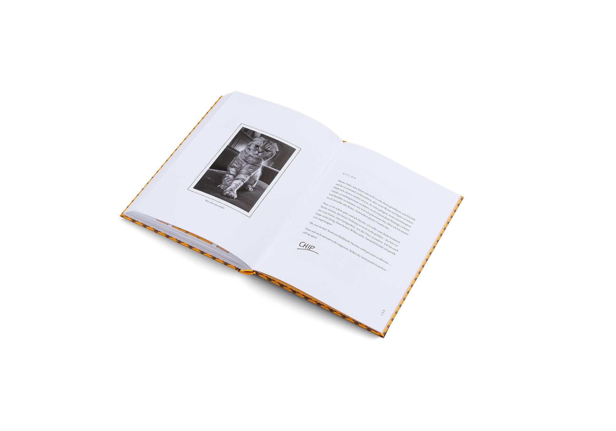 Gestalten Eu Shop-Blue Chip-Book-Black-Deal-Outlet-by-ARCHIVIST