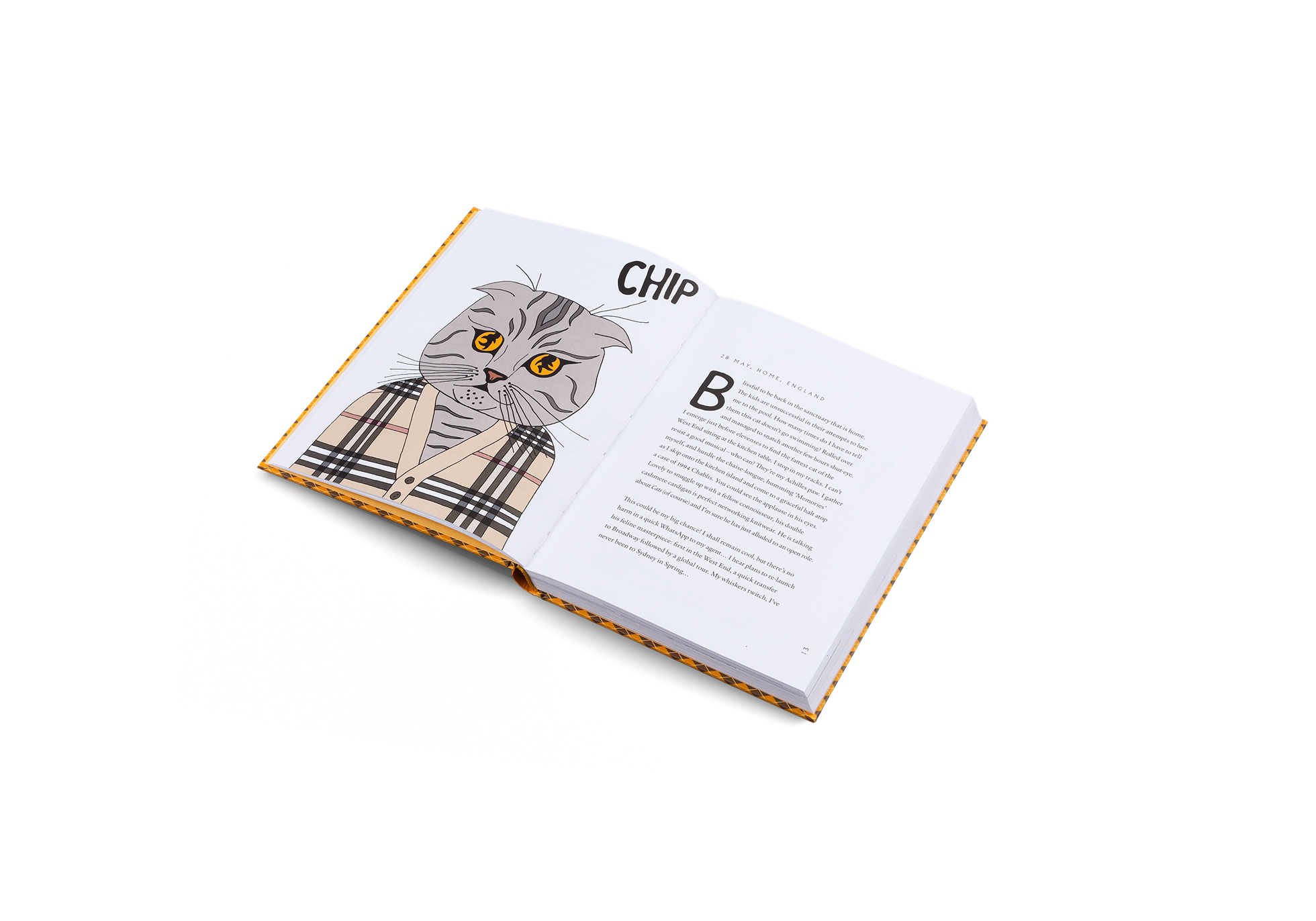 Gestalten Eu Shop-Blue Chip-Book-Black-Deal-Outlet-by-ARCHIVIST