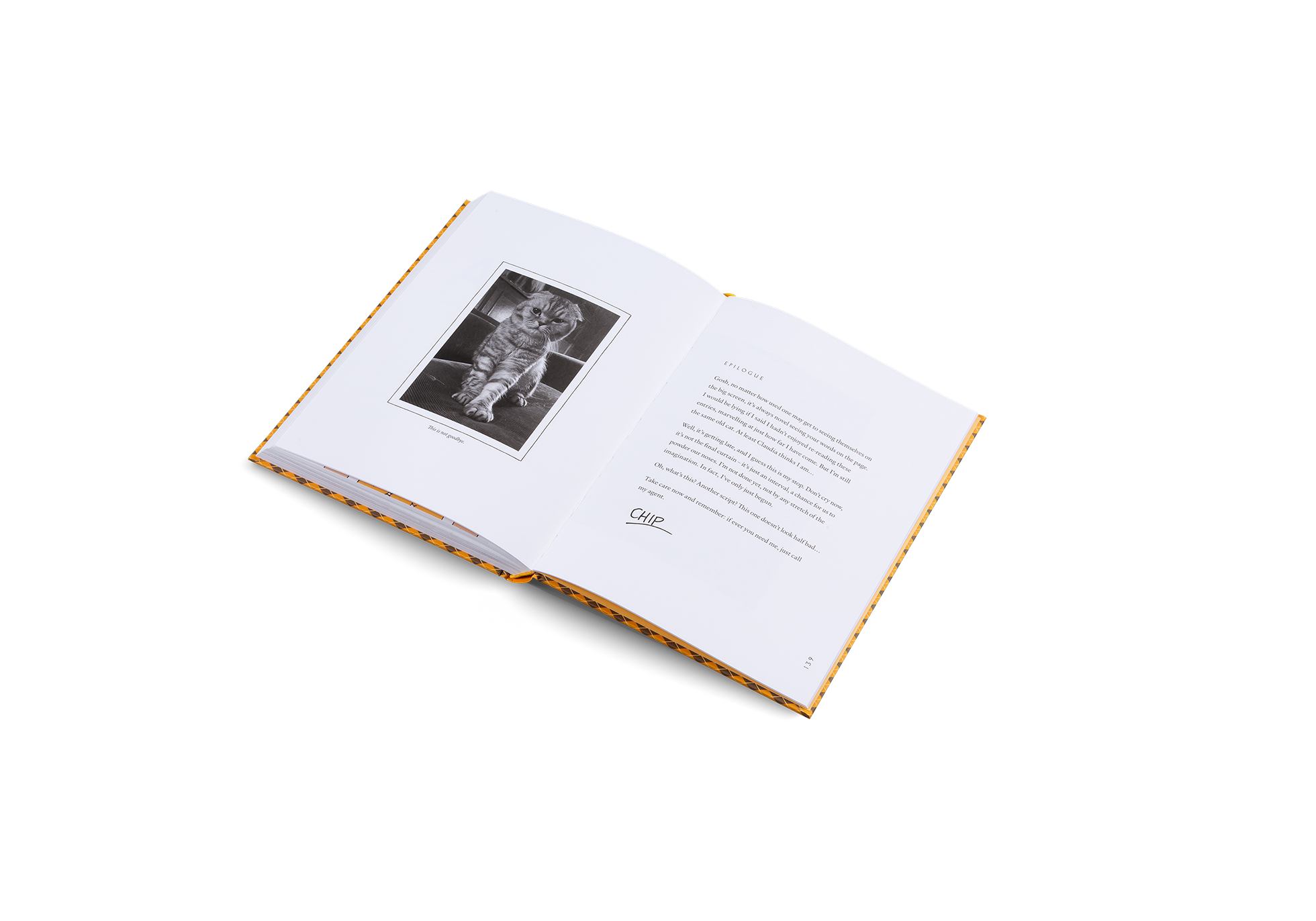 Gestalten Eu Shop-Blue Chip-Book-Black-Deal-Outlet-by-ARCHIVIST