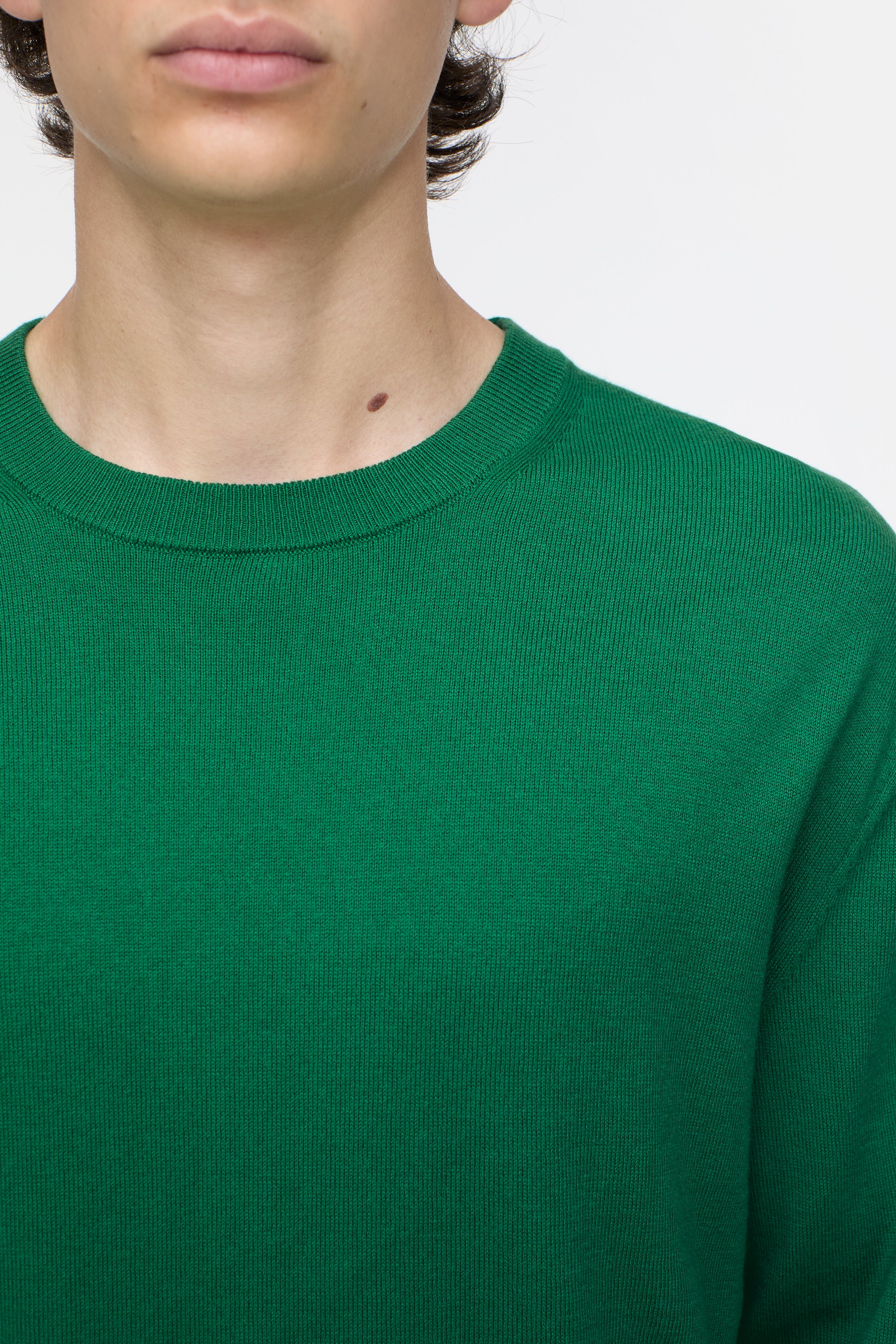 CREWNECK LONG SLEEVE-Strick & Pullover-Closed-ARCHIVIST