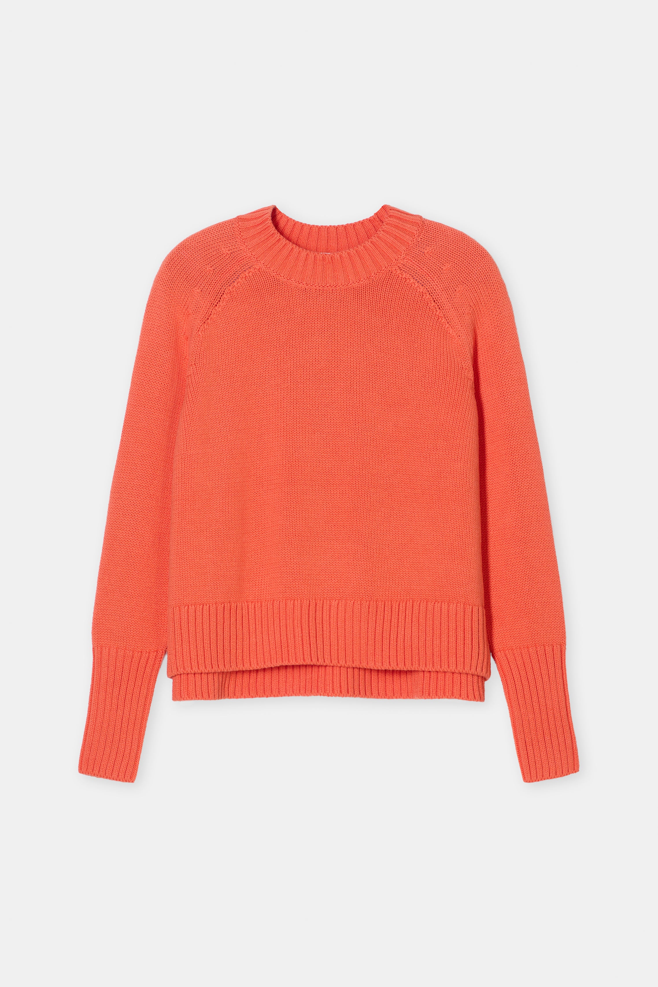 CREW NECK LONG SLEEVE-Strick & Pullover-Closed-ARCHIVIST