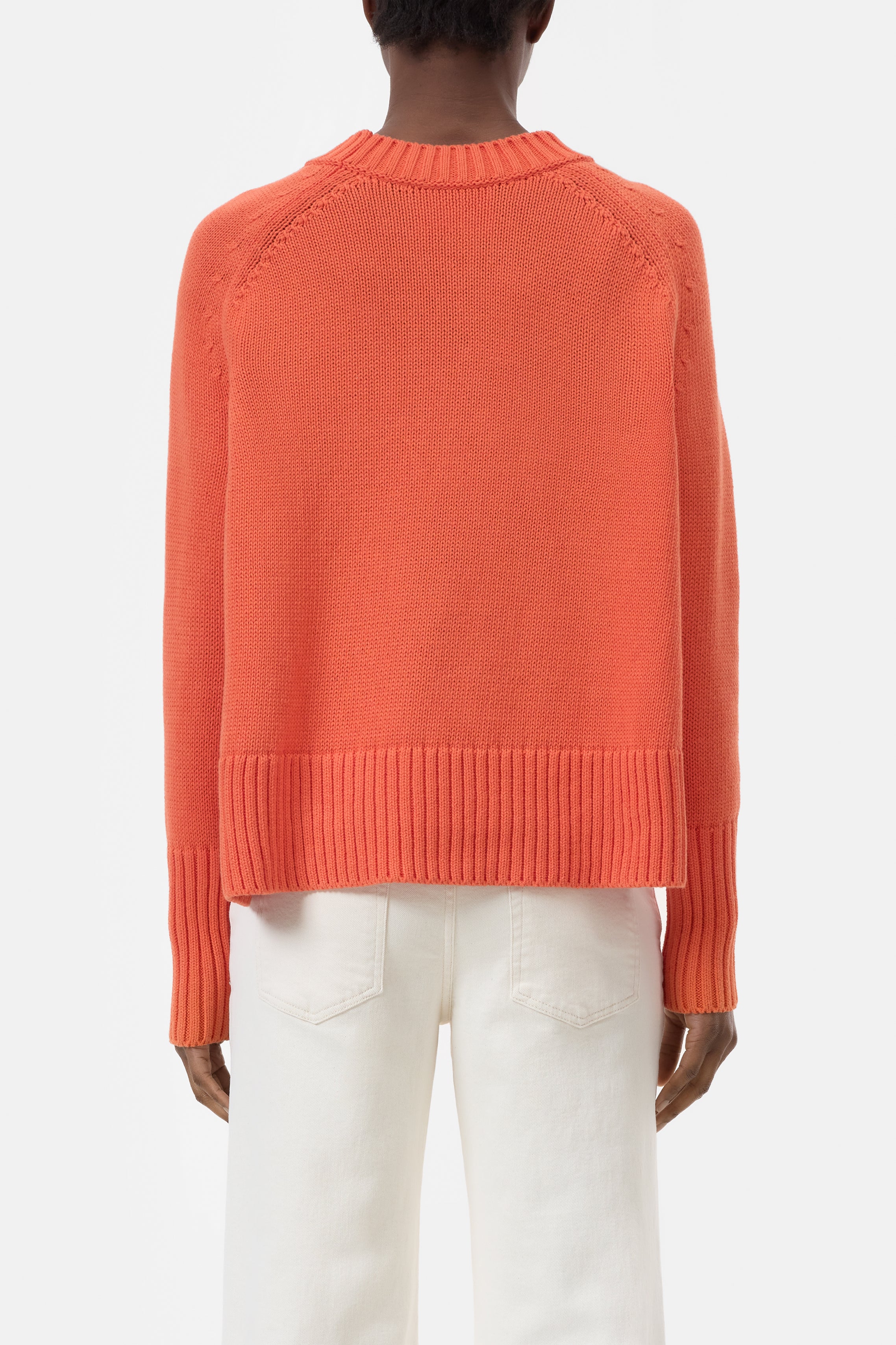 CREW NECK LONG SLEEVE-Strick & Pullover-Closed-ARCHIVIST