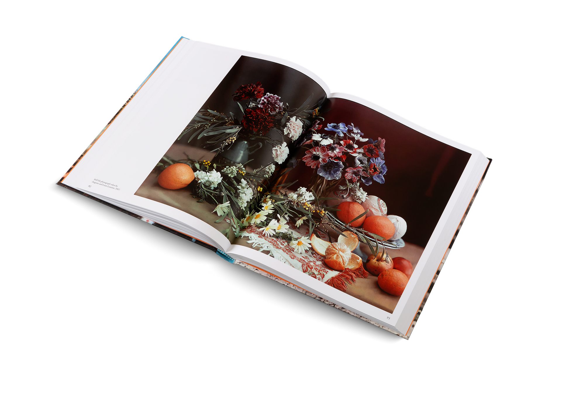 Gestalten Eu Shop-The Colors of Life-Book-Black-Deal-Outlet-by-ARCHIVIST