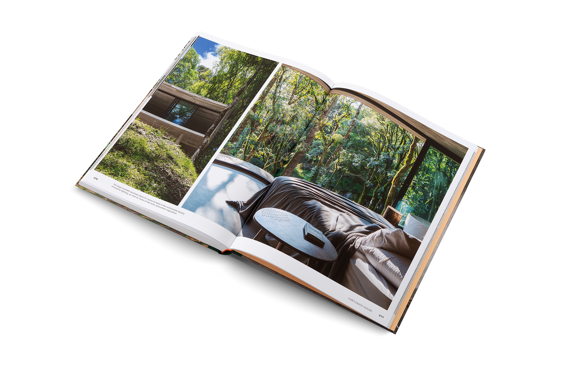 Gestalten Eu Shop-Concrete Jungle-Book-Black-Deal-Outlet-by-ARCHIVIST