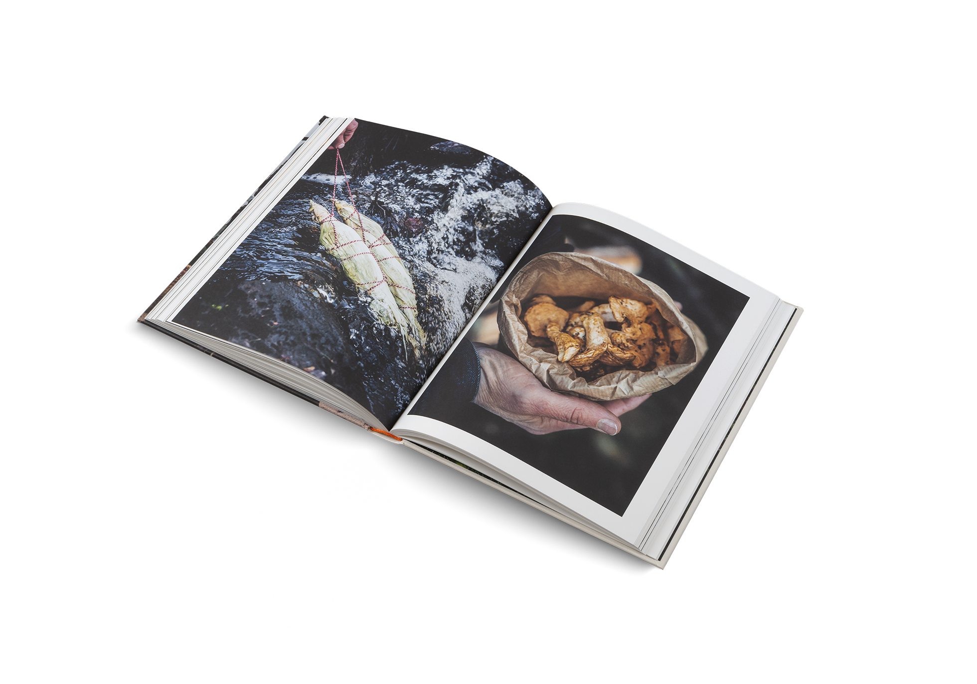 Gestalten Eu Shop-Cooking Greens on Fire-Book-Black-Deal-Outlet-by-ARCHIVIST