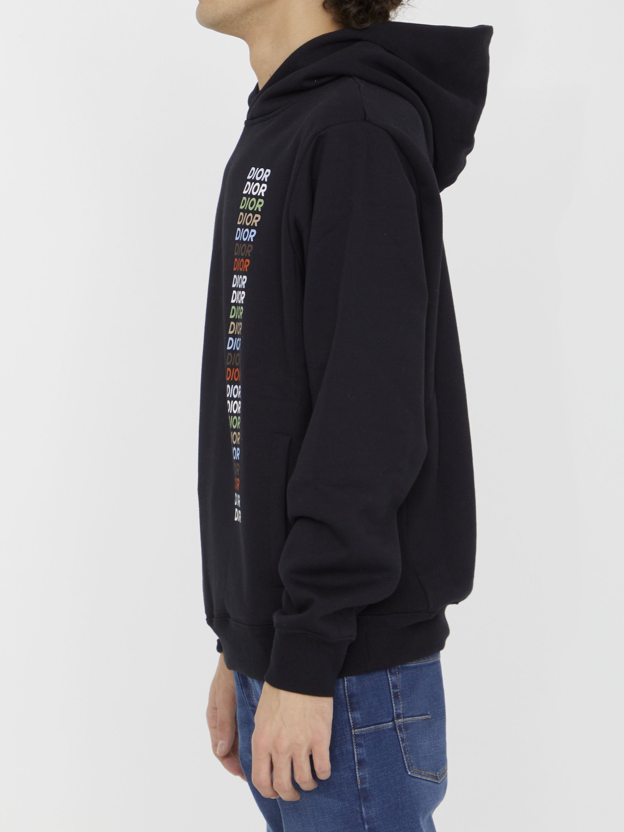 Dior Multi hoodie
