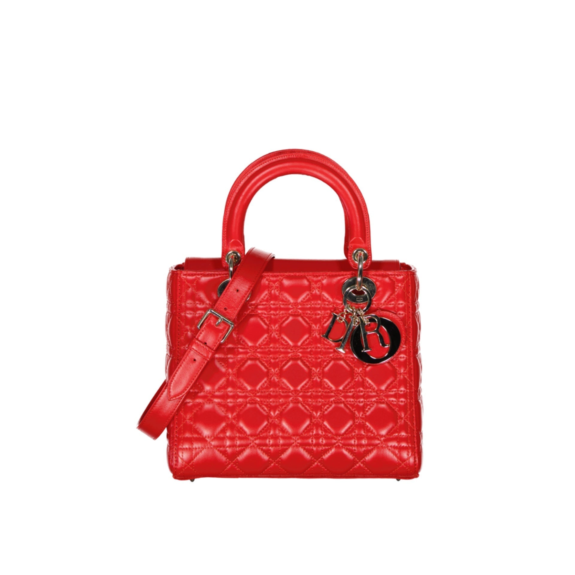 Dior Lady D Medium Bag