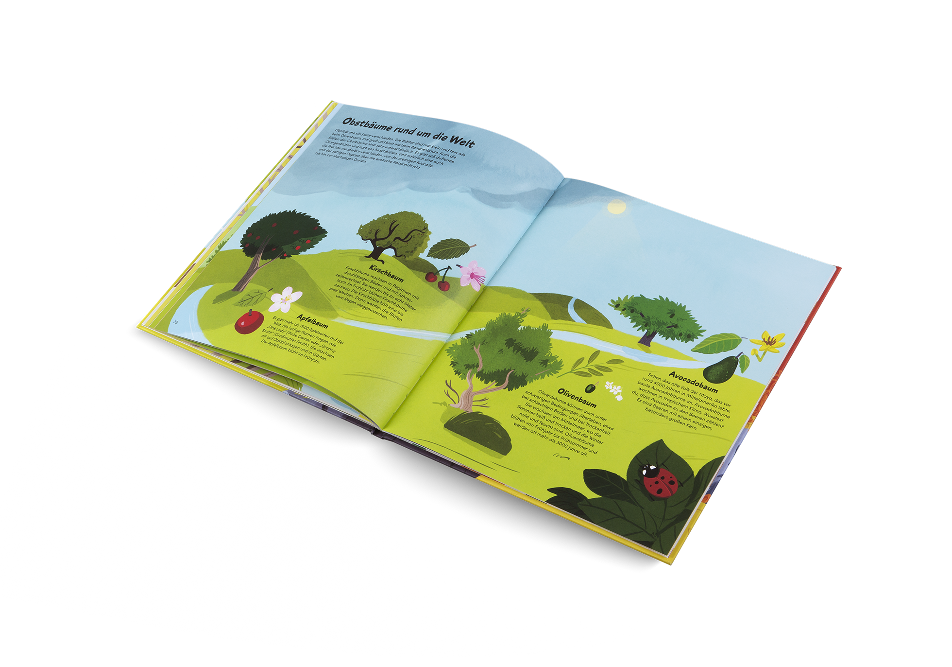 Gestalten Eu Shop-Das kleine Buch der Bäume-Book-Black-Deal-Outlet-by-ARCHIVIST