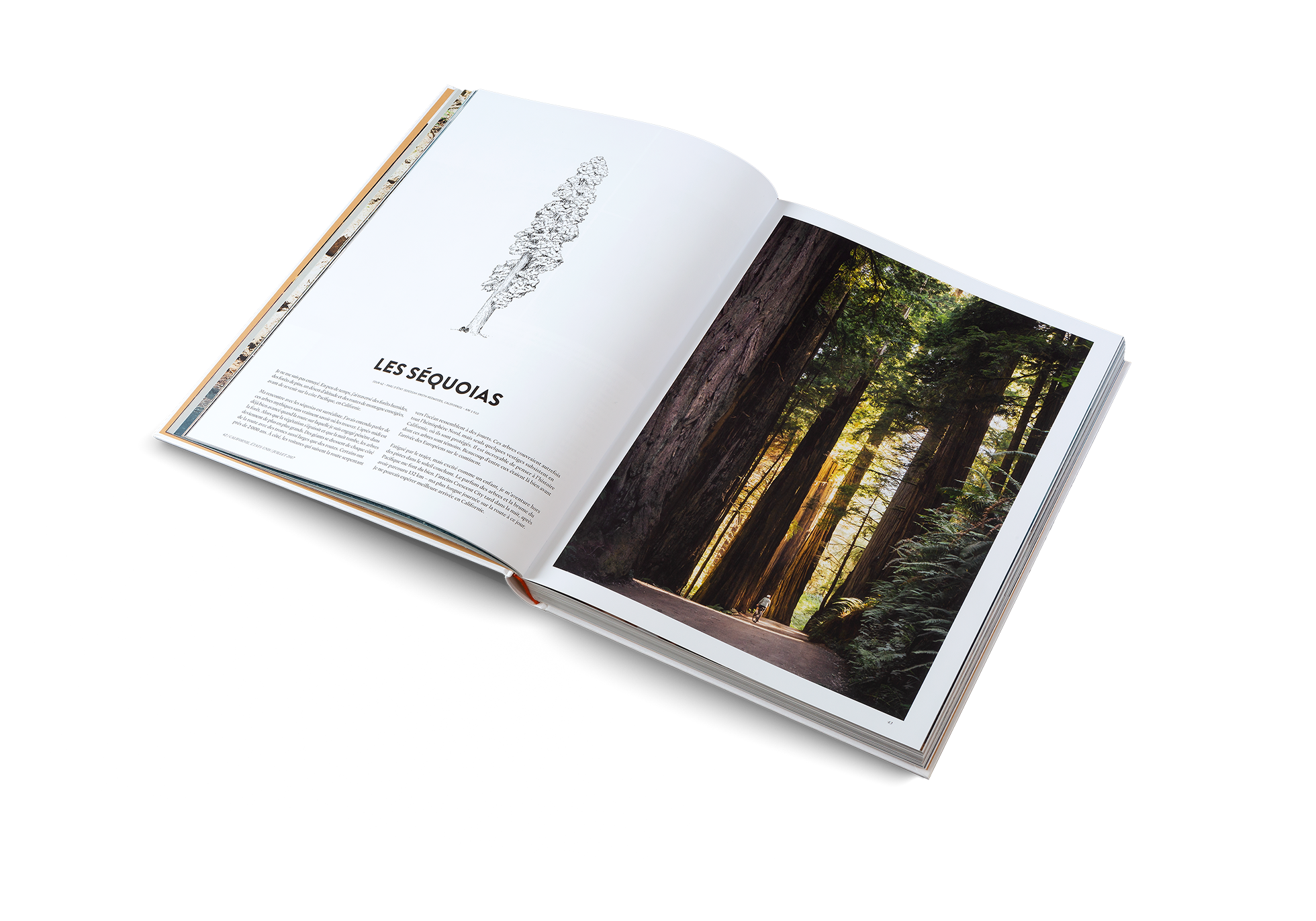 Gestalten Eu Shop-Deux ans à vélo-Book-Black-Deal-Outlet-by-ARCHIVIST