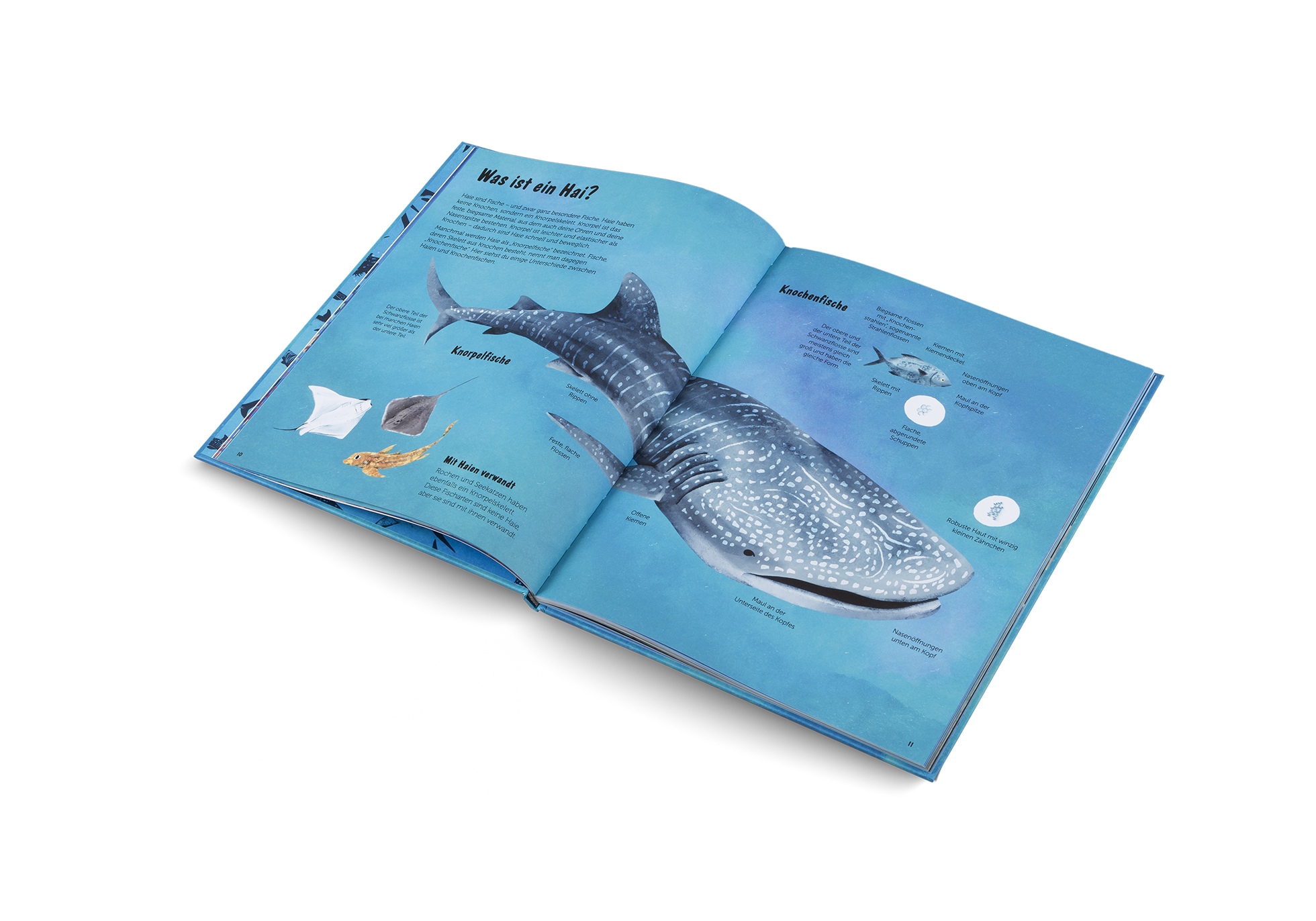 Gestalten Eu Shop-Die Welt der Haie-Book-Black-Deal-Outlet-by-ARCHIVIST