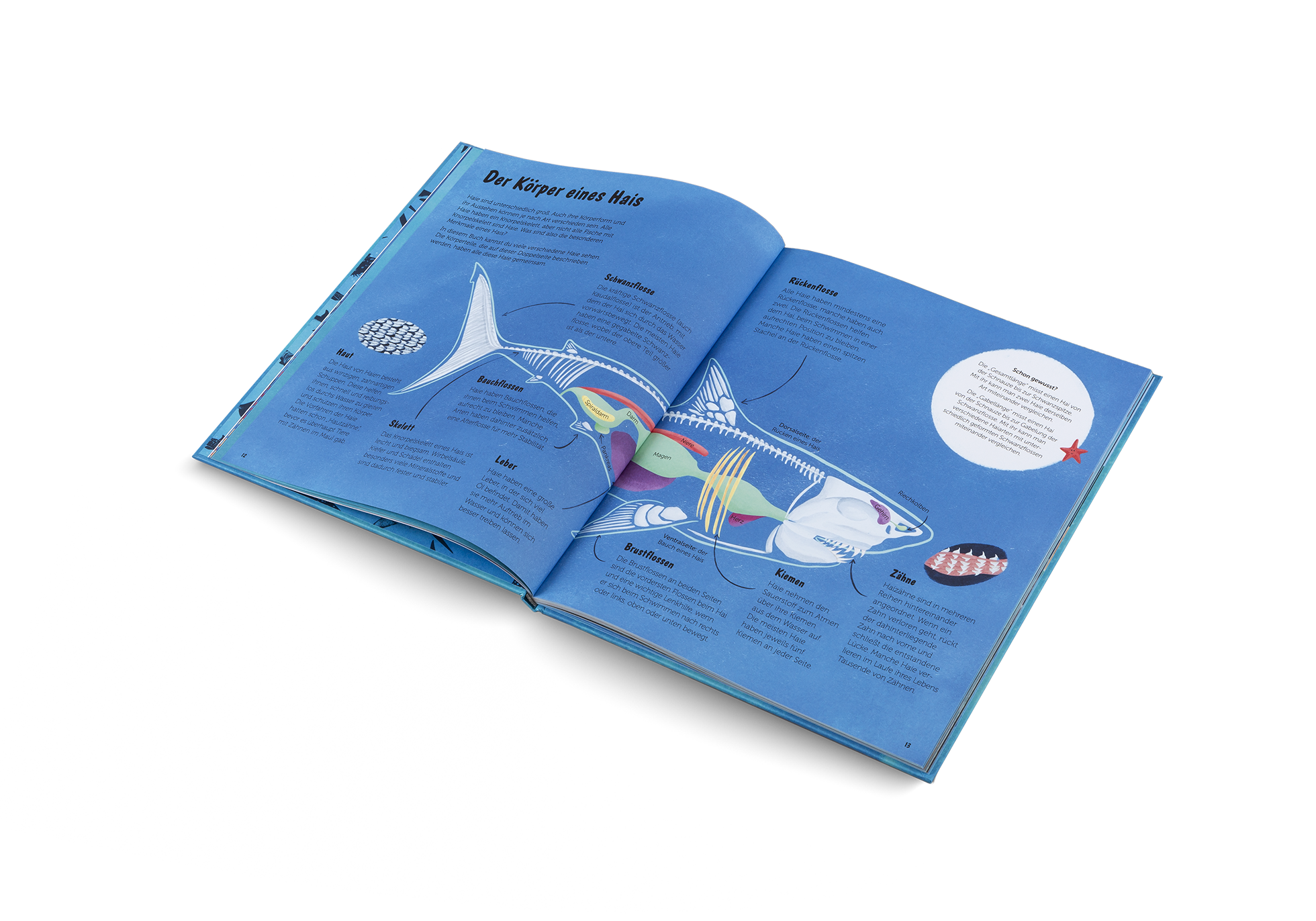 Gestalten Eu Shop-Die Welt der Haie-Book-Black-Deal-Outlet-by-ARCHIVIST