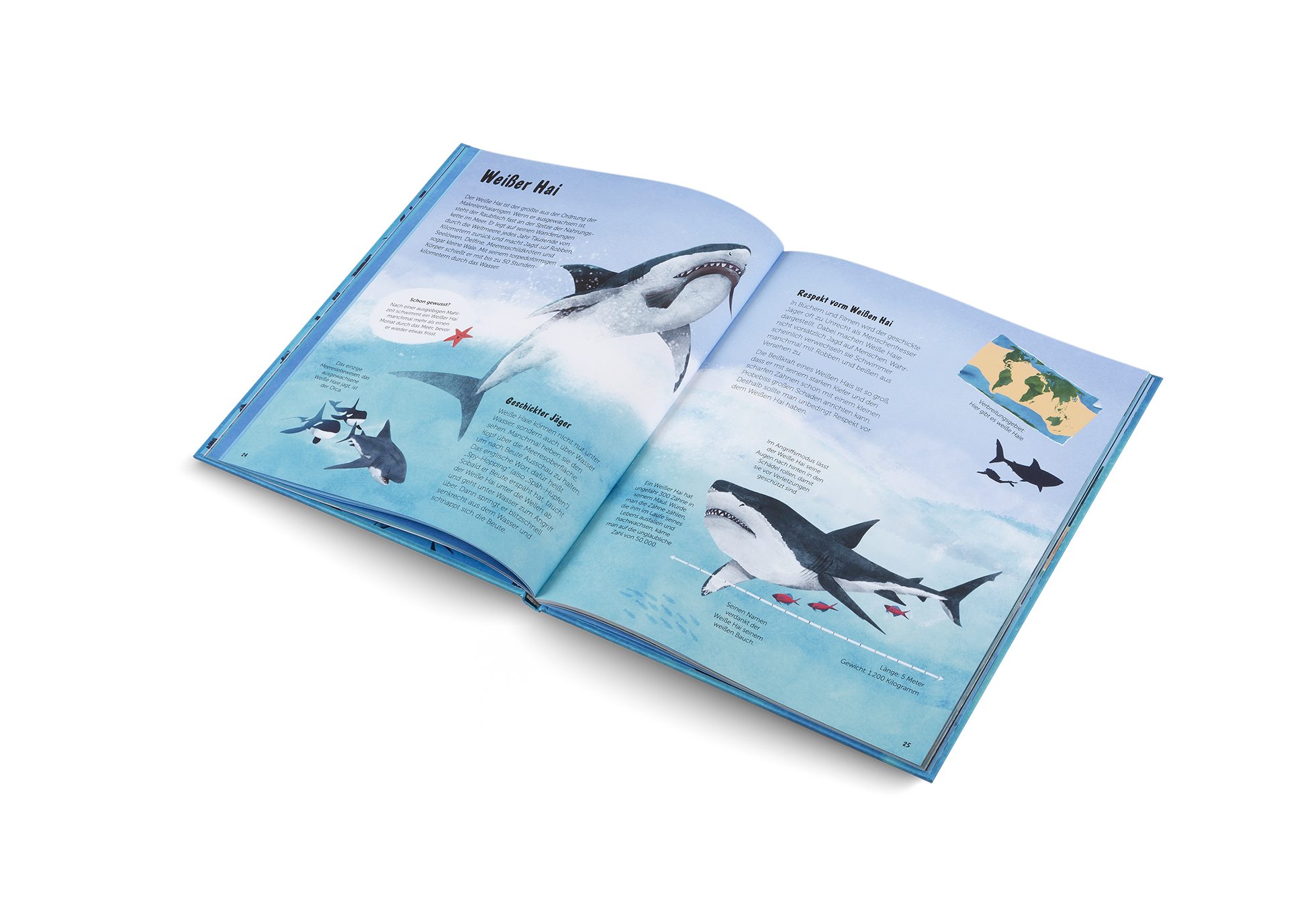 Gestalten Eu Shop-Die Welt der Haie-Book-Black-Deal-Outlet-by-ARCHIVIST