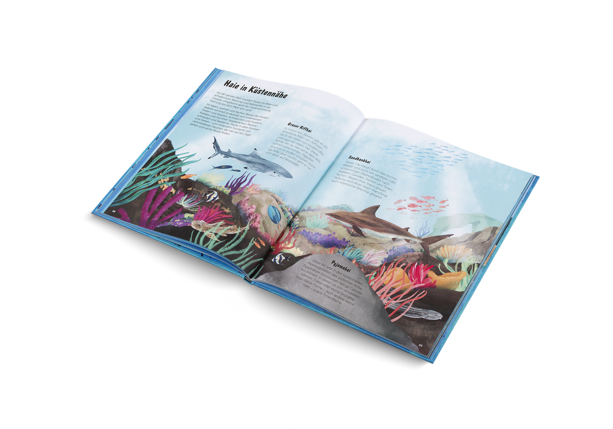 Gestalten Eu Shop-Die Welt der Haie-Book-Black-Deal-Outlet-by-ARCHIVIST