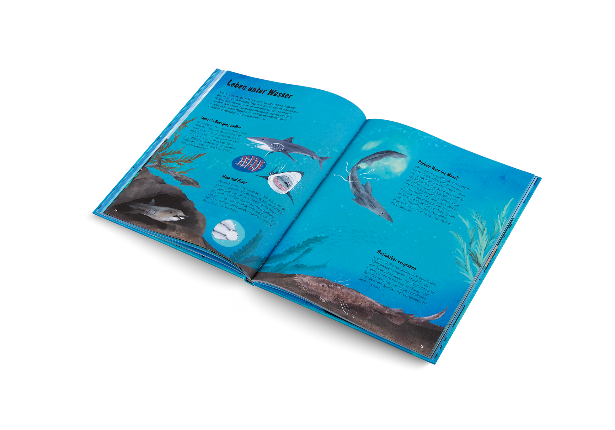 Gestalten Eu Shop-Die Welt der Haie-Book-Black-Deal-Outlet-by-ARCHIVIST