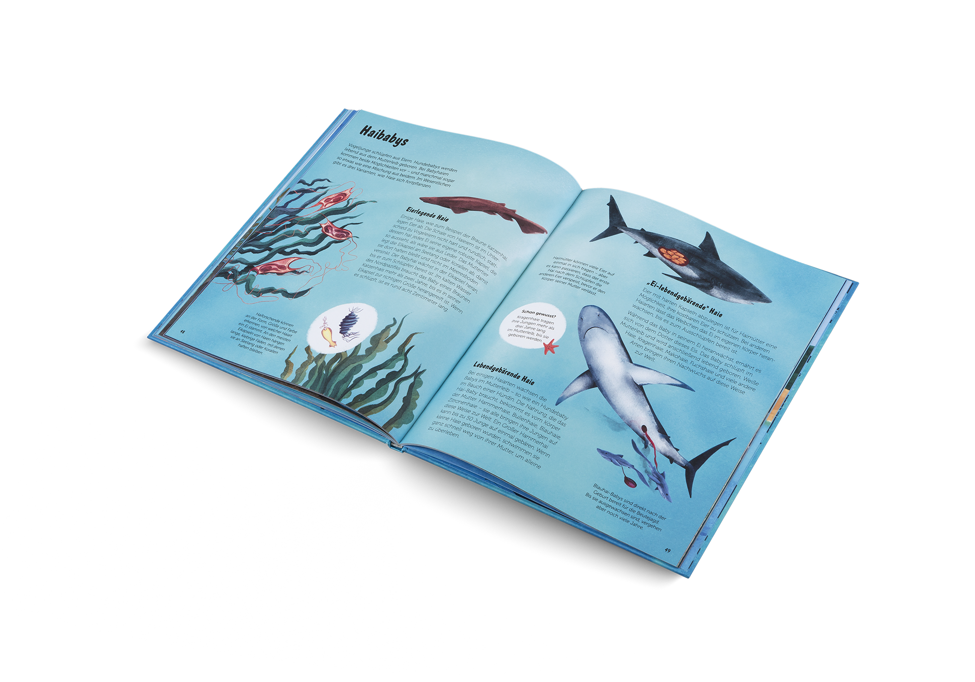 Gestalten Eu Shop-Die Welt der Haie-Book-Black-Deal-Outlet-by-ARCHIVIST