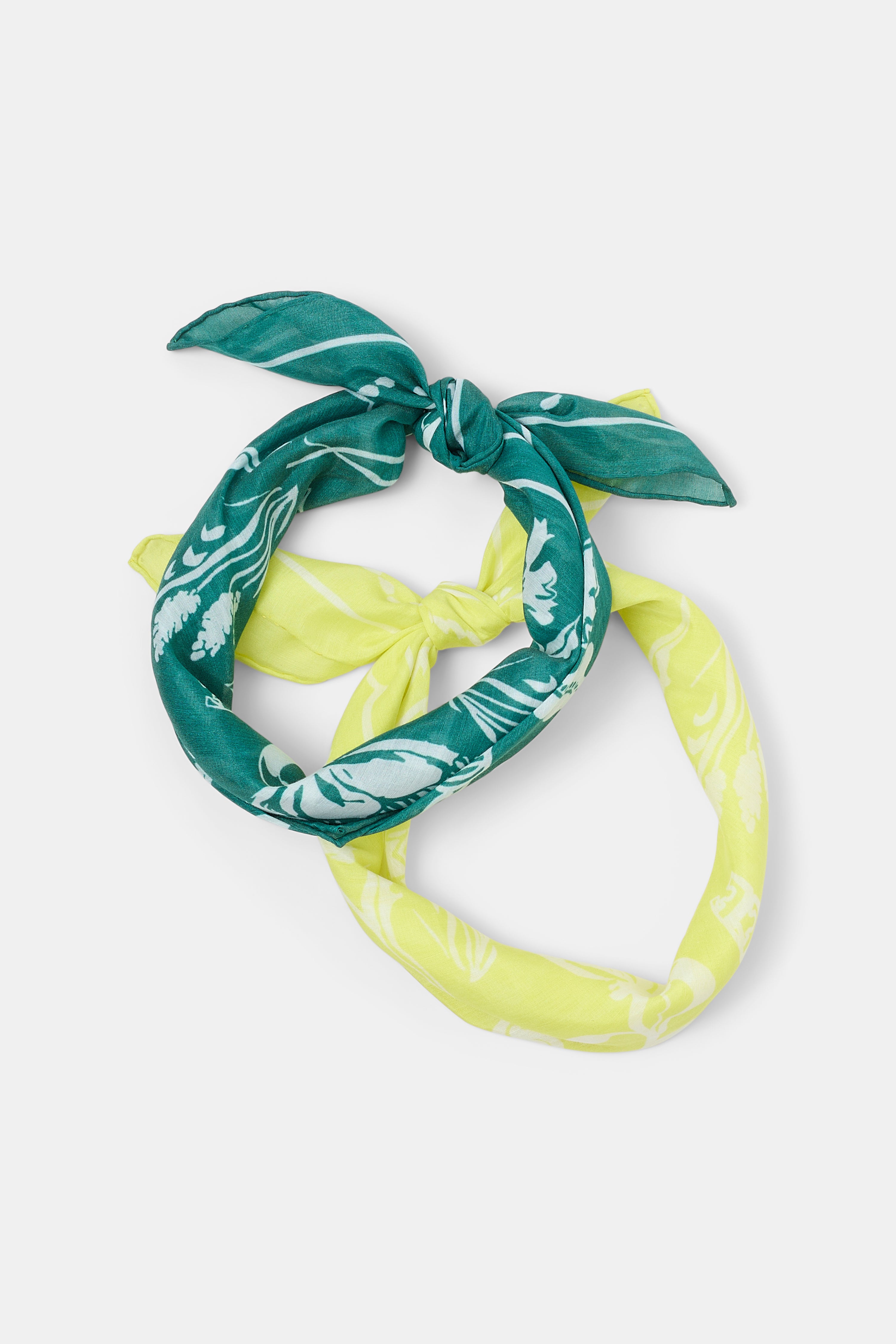 FRIENDS OF DOROTHEE scarf-Dorothee Schumacher-Sale