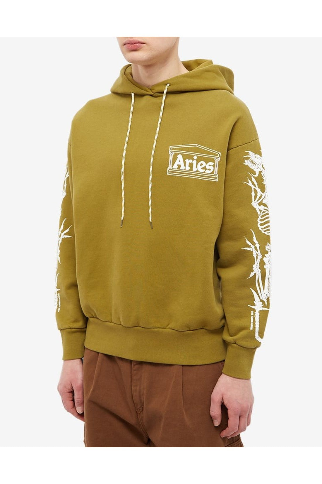 Aries-OUTLET-SALE-Dragon Skeletor Temple Logo Hoodie-ARCHIVIST