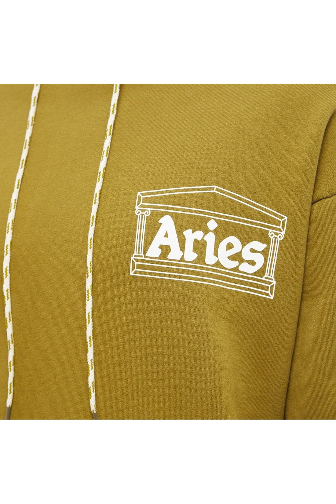 Aries-OUTLET-SALE-Dragon Skeletor Temple Logo Hoodie-ARCHIVIST