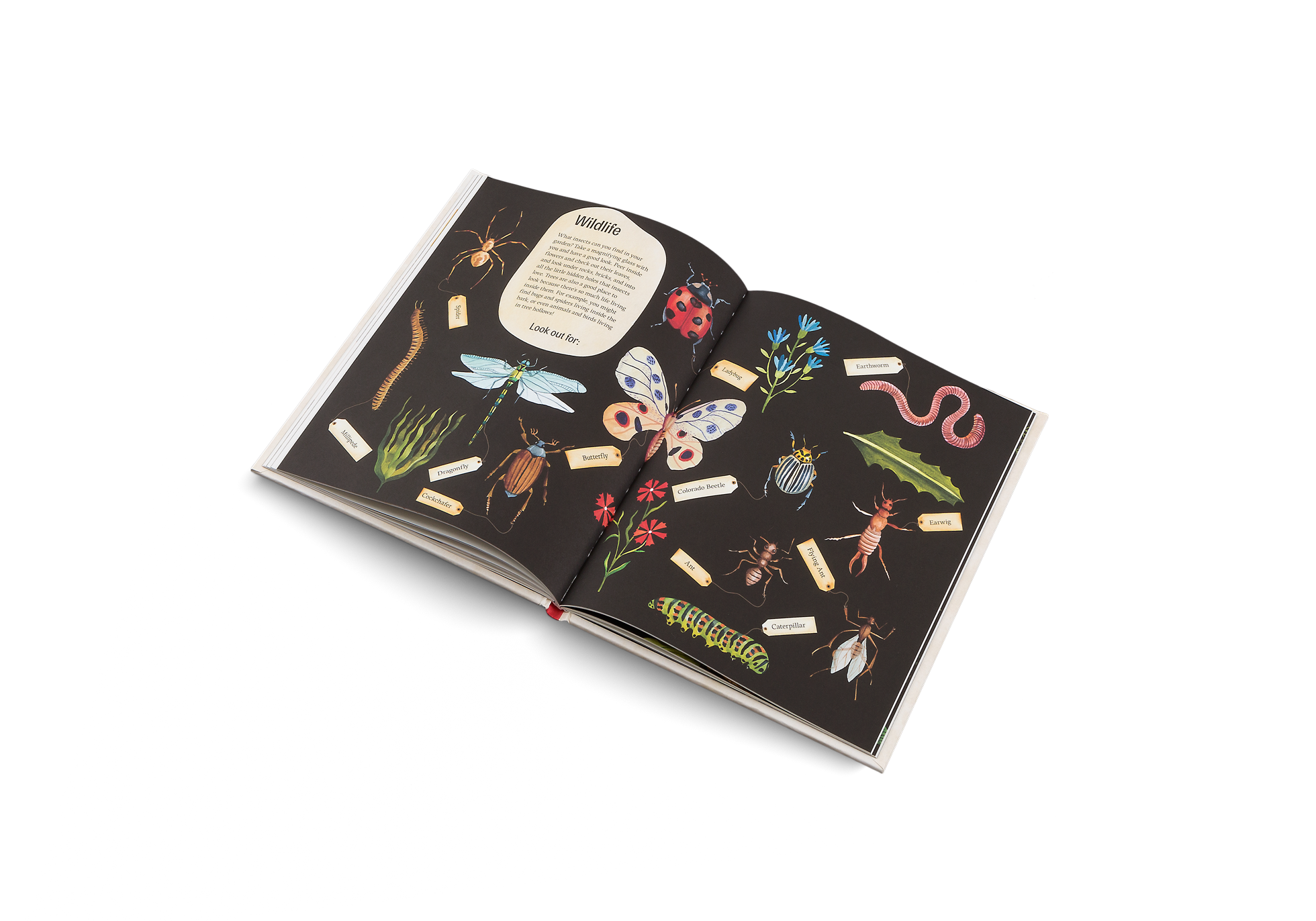 Gestalten Eu Shop-Easy Peasy-Book-Black-Deal-Outlet-by-ARCHIVIST