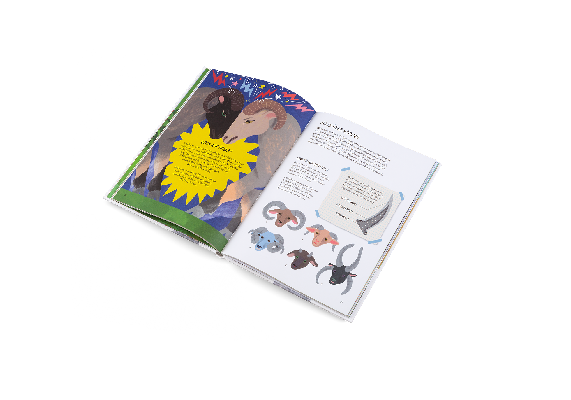 Gestalten Eu Shop-Einmal extra Schaf!-Book-Black-Deal-Outlet-by-ARCHIVIST