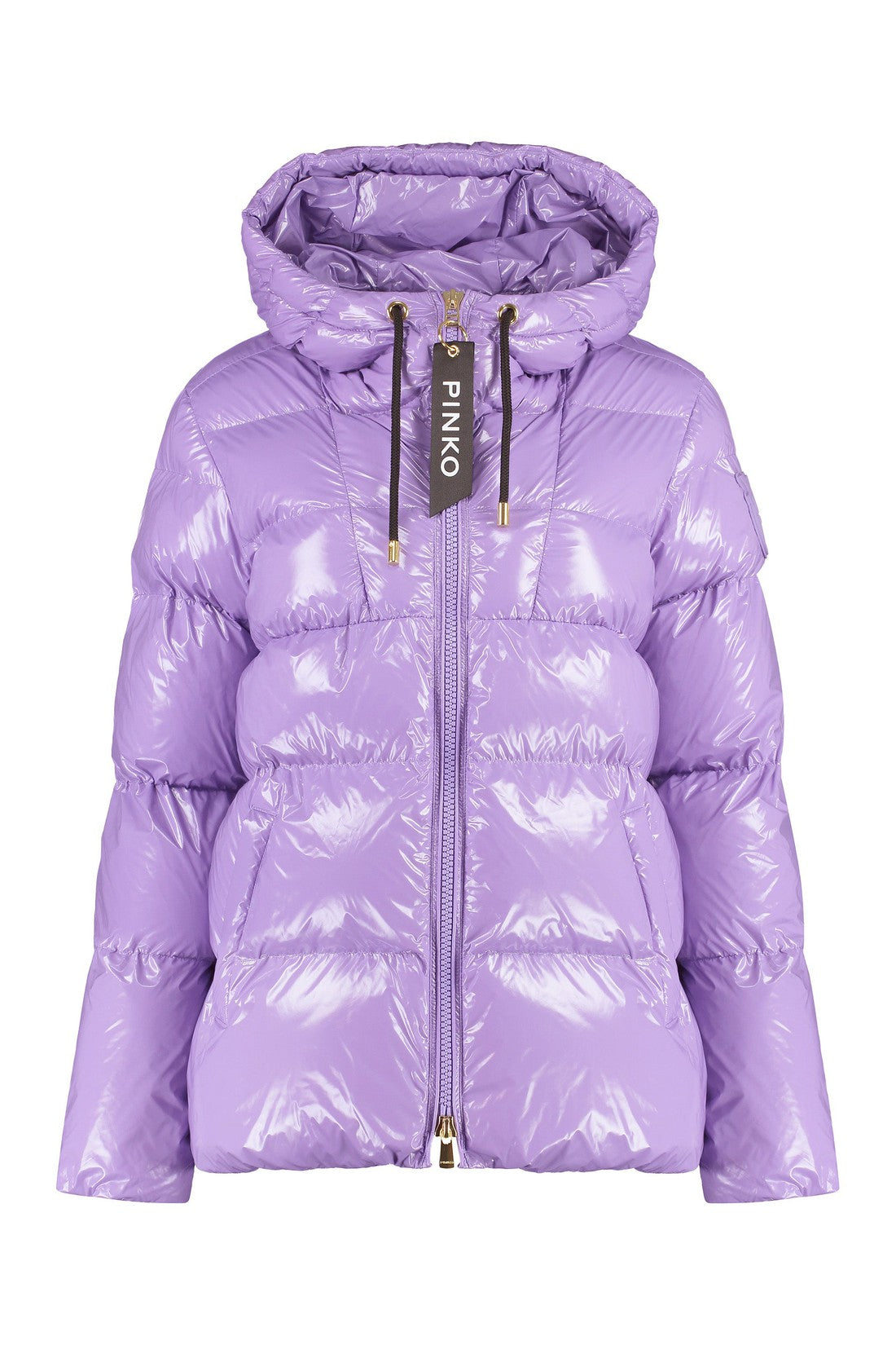 Pinko-OUTLET-SALE-Eleodoro hooded shiny down jacket-ARCHIVIST