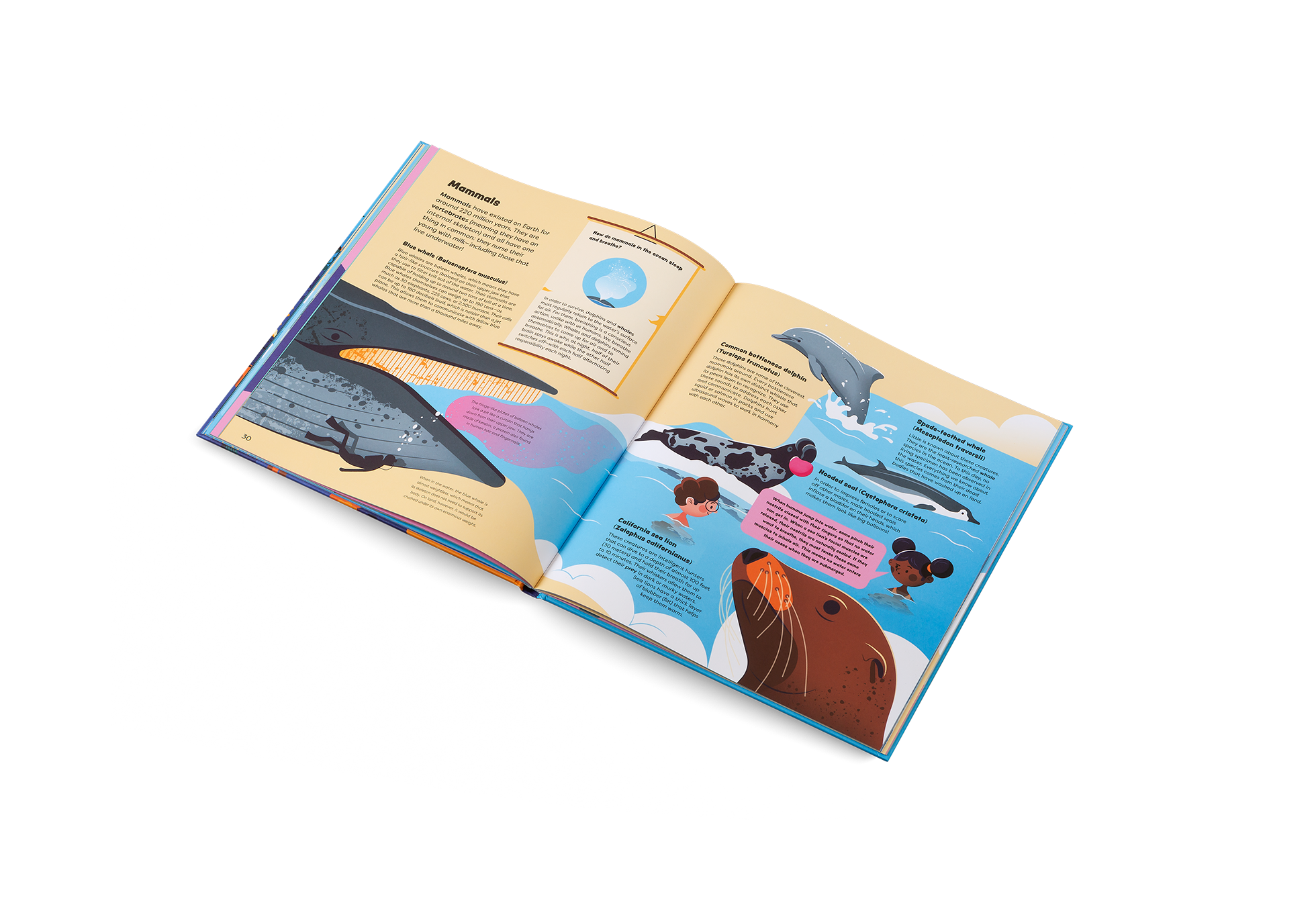 Gestalten Eu Shop-Explore the Ocean-Book-Black-Deal-Outlet-by-ARCHIVIST