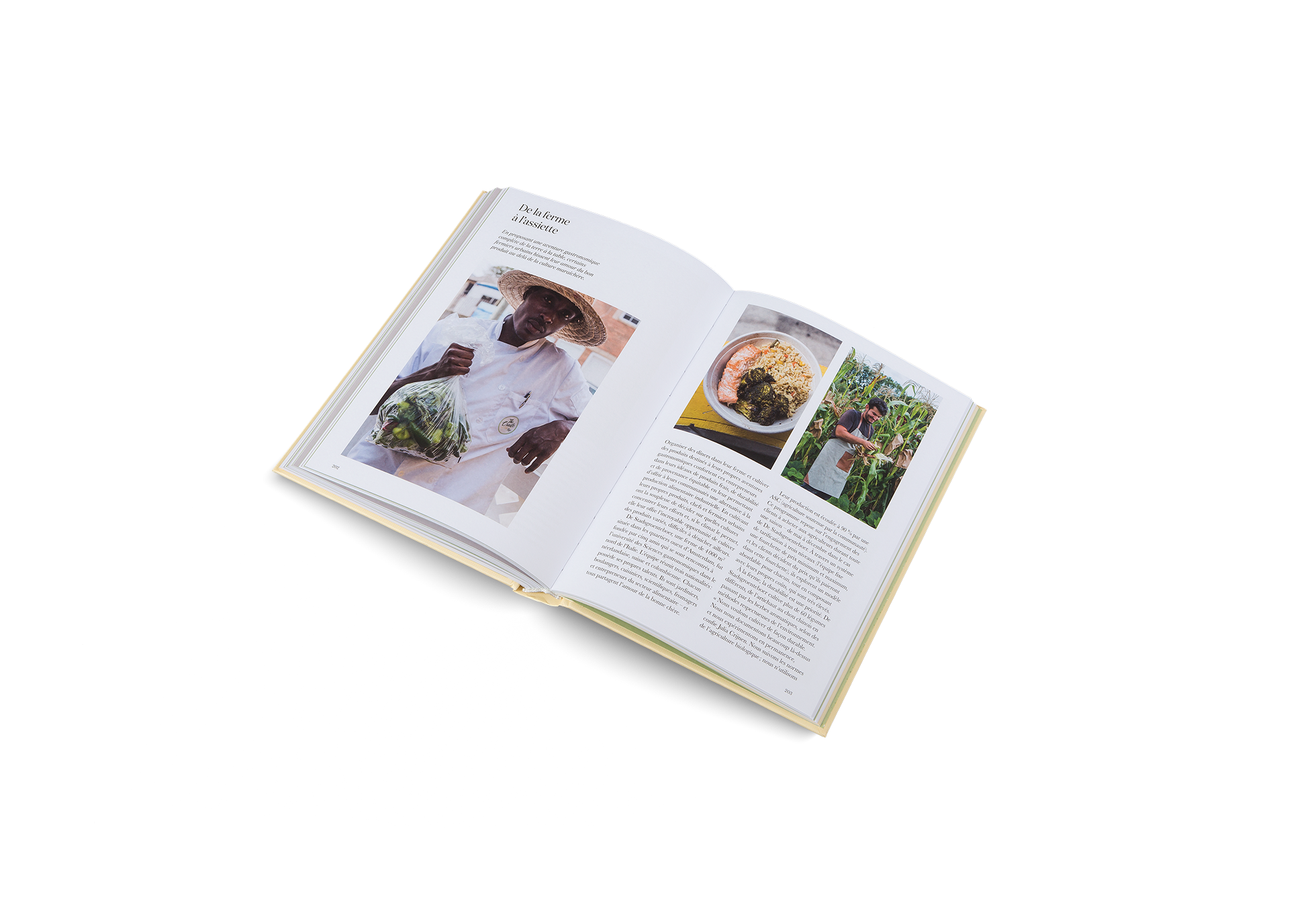 Gestalten Eu Shop-Fermiers urbains-Book-Black-Deal-Outlet-by-ARCHIVIST