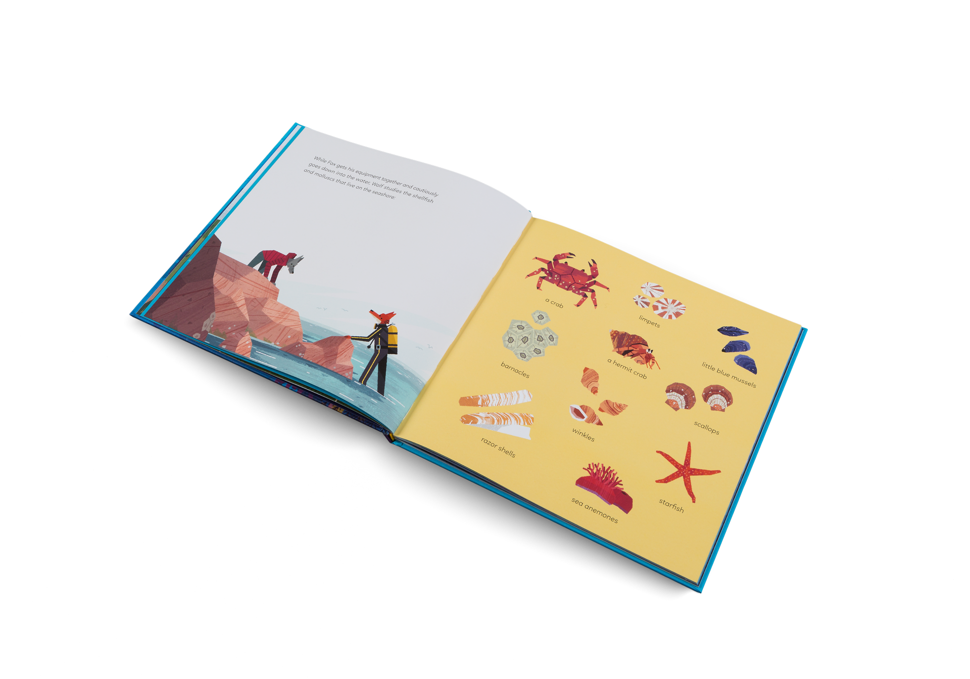 Gestalten Eu Shop-Fox and the Deep Sea Quest-Book-Black-Deal-Outlet-by-ARCHIVIST