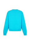 Acne Studios-OUTLET-SALE-Franzisko Devil Glow Logo Sweatshirt-ARCHIVIST