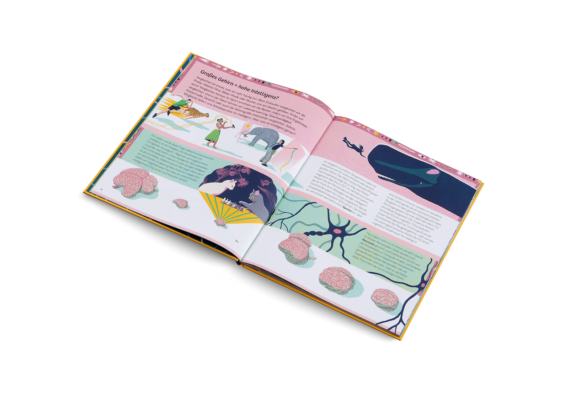 Gestalten Eu Shop-Ganz schön schlaue Tiere-Book-Black-Deal-Outlet-by-ARCHIVIST