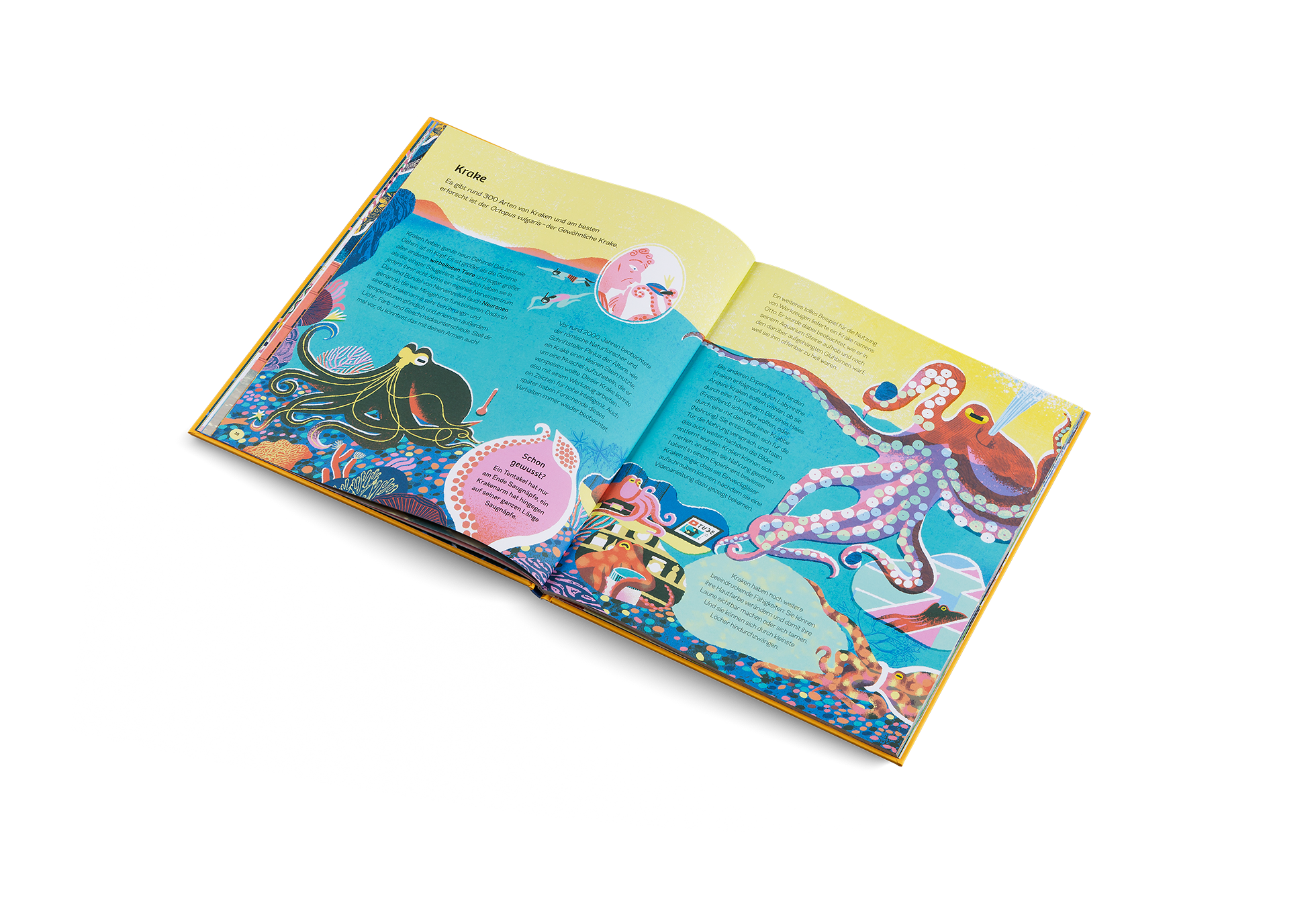 Gestalten Eu Shop-Ganz schön schlaue Tiere-Book-Black-Deal-Outlet-by-ARCHIVIST