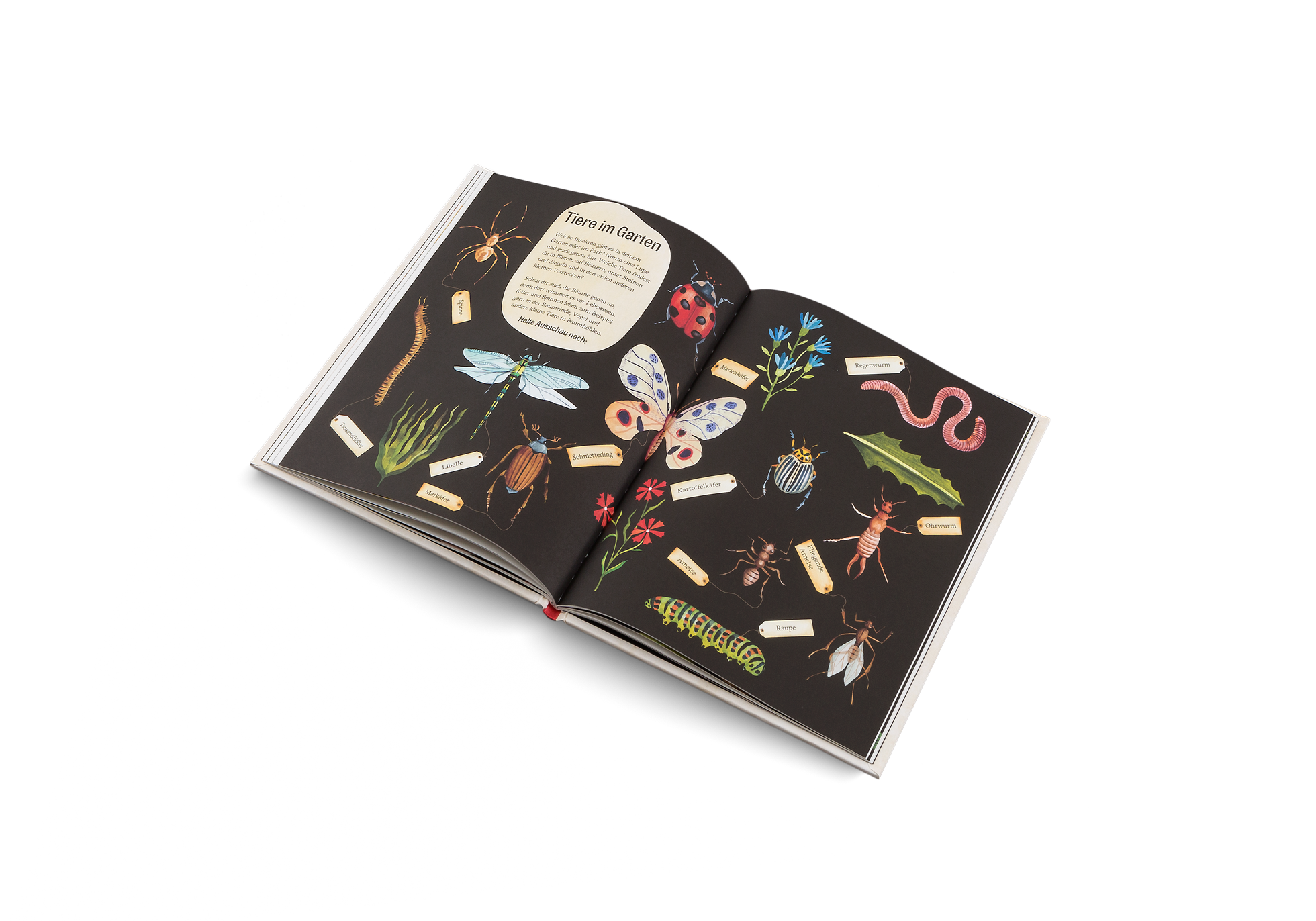 Gestalten Eu Shop-Grüner wird’s nicht-Book-Black-Deal-Outlet-by-ARCHIVIST